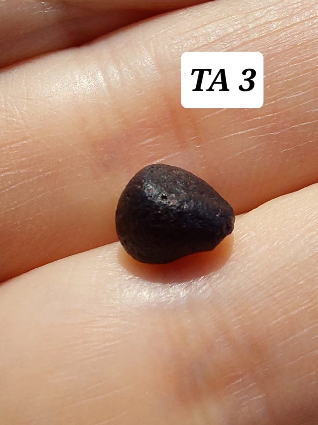 Atacamite, 0.37g, Tektite (Ref: TA3)