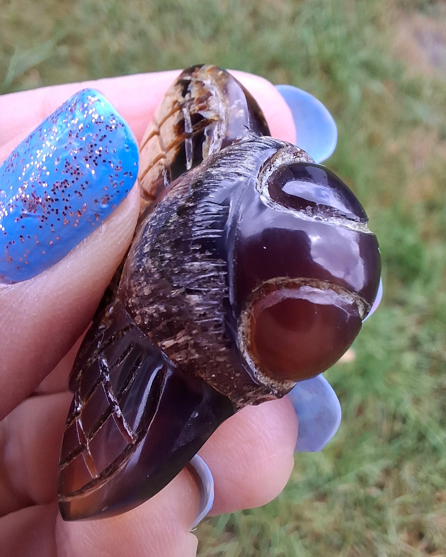 Red Amber Honey Bee Carving, 7.00g, Fossil (Ref: Bee31)