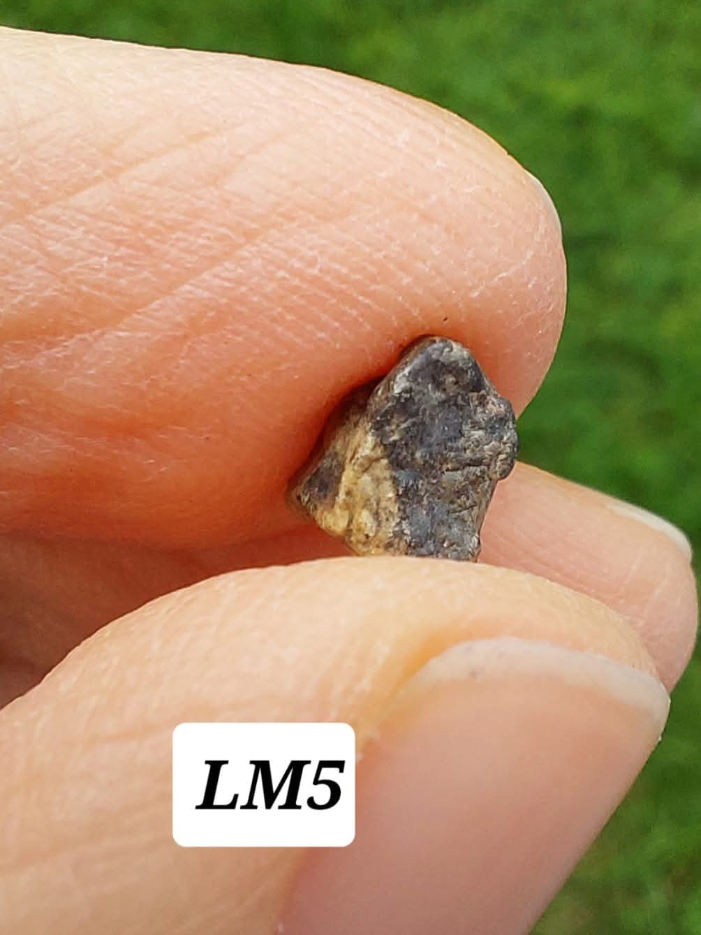 Lunar Meteorite, 0.32g, 'Moon Rock' (Ref: LM5)