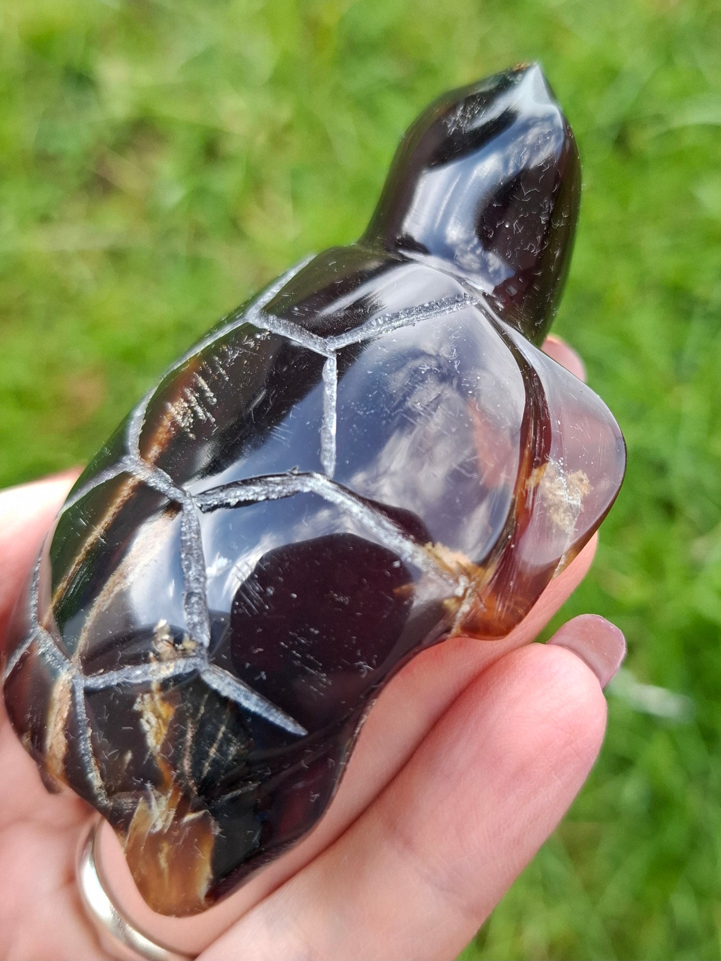 Red Amber Turtle, 52.00g, Carving, Fossil (Ref: TT3)
