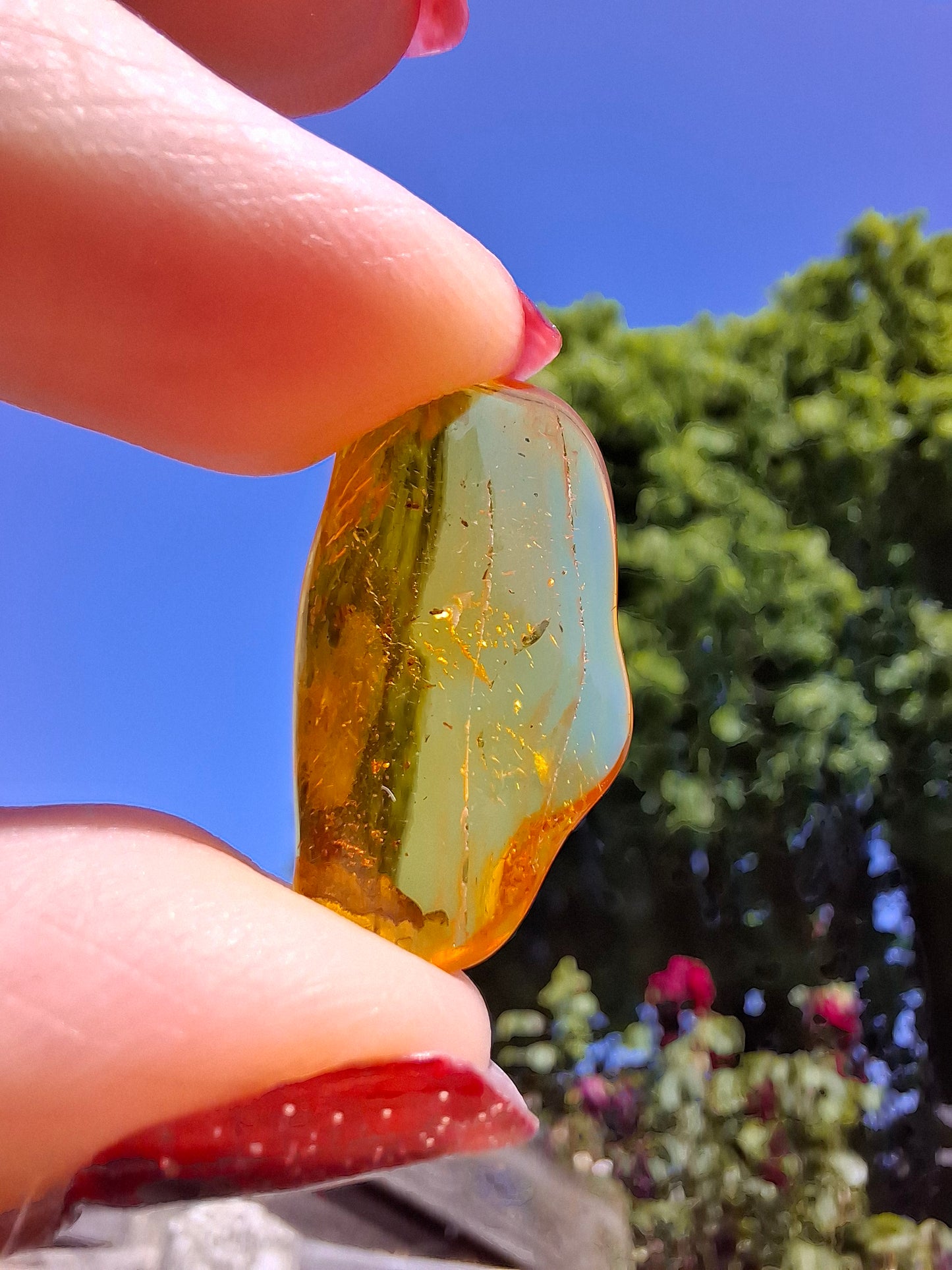 Baltic Amber, 1.23g, Fossil (Ref: A237)