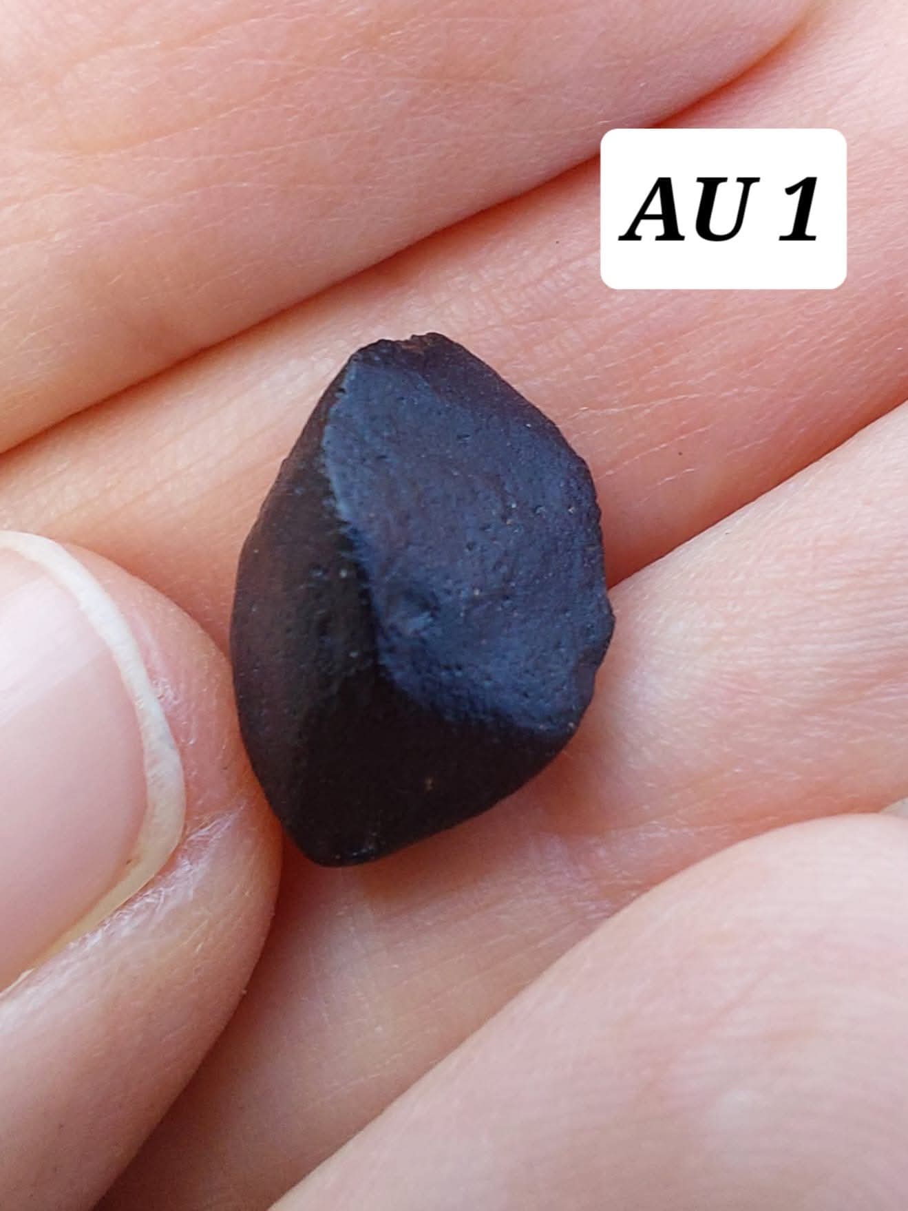 Australite, 1.54g, Tektite (Ref: AU1)