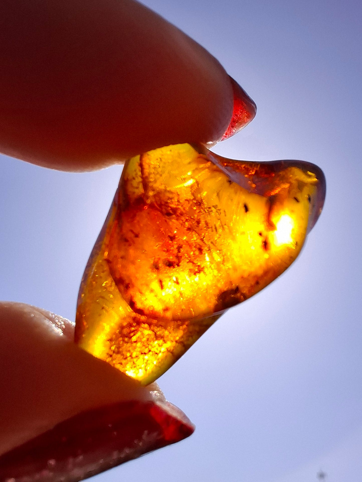 Baltic Amber, 1.47g, Fossil (Ref: A238)