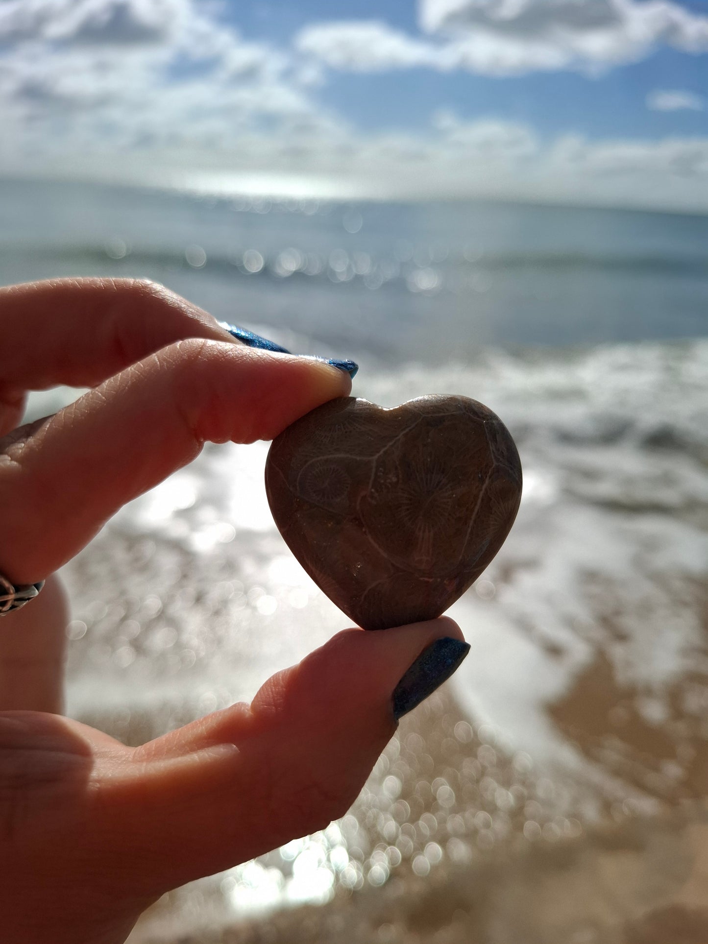 Fossil Coral Heart, (Ref: CoH2)