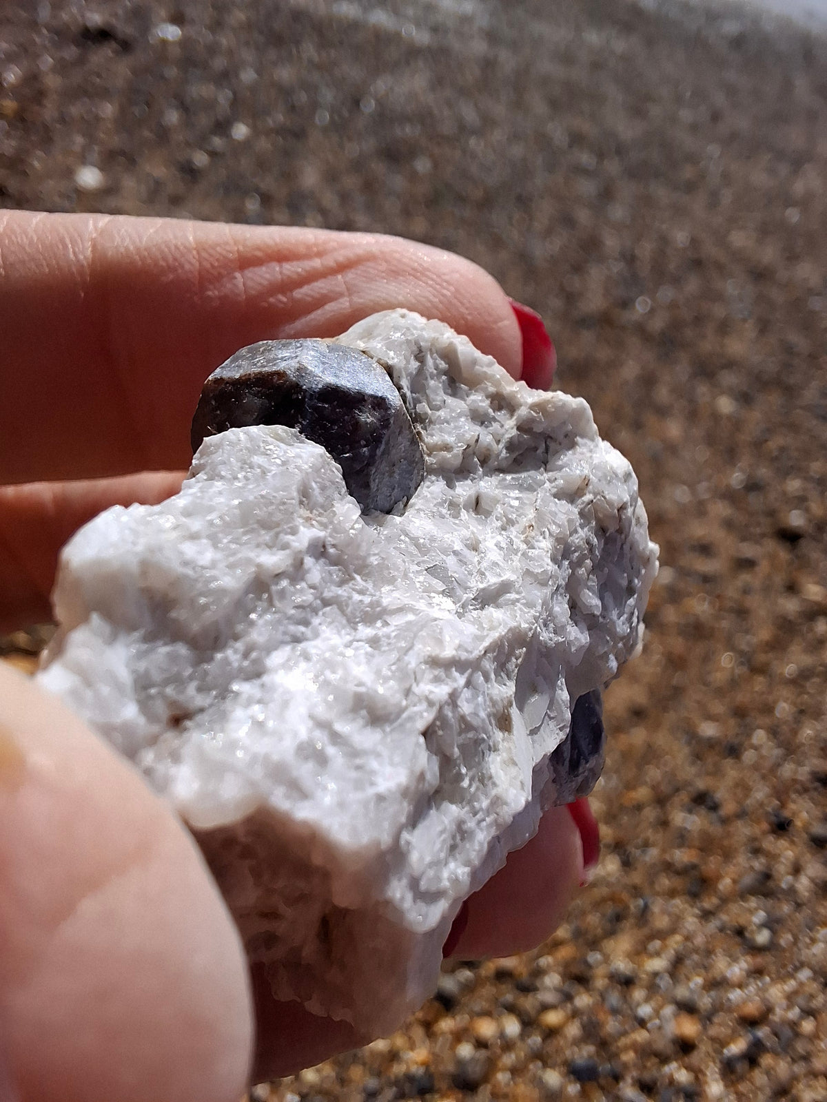 (Dig your own) Garnet in Matrix, Crystal (Ref: RG7)