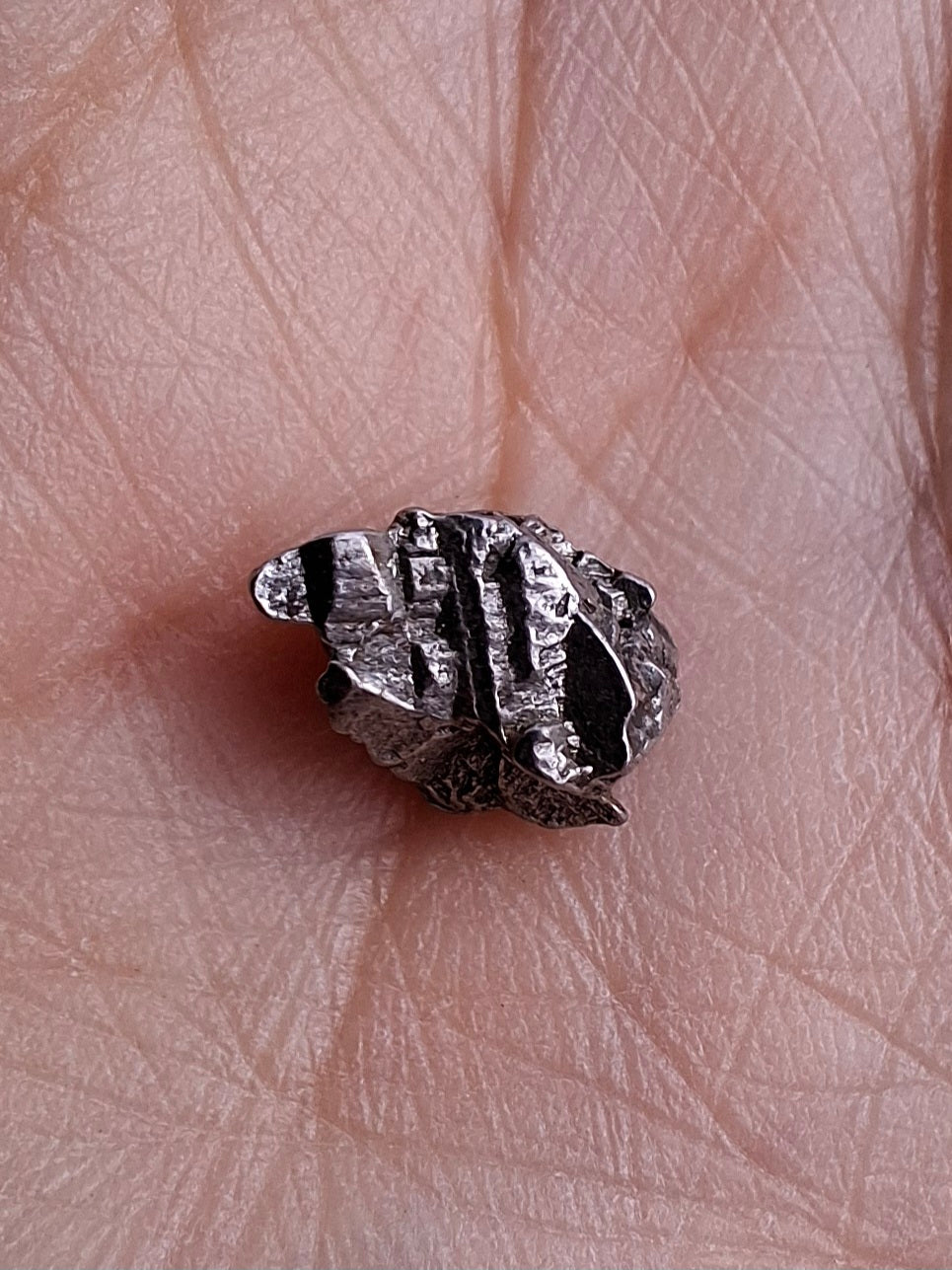 Campo del Cielo, 0.87g, Nickel Iron Meteorite (Ref: C4)