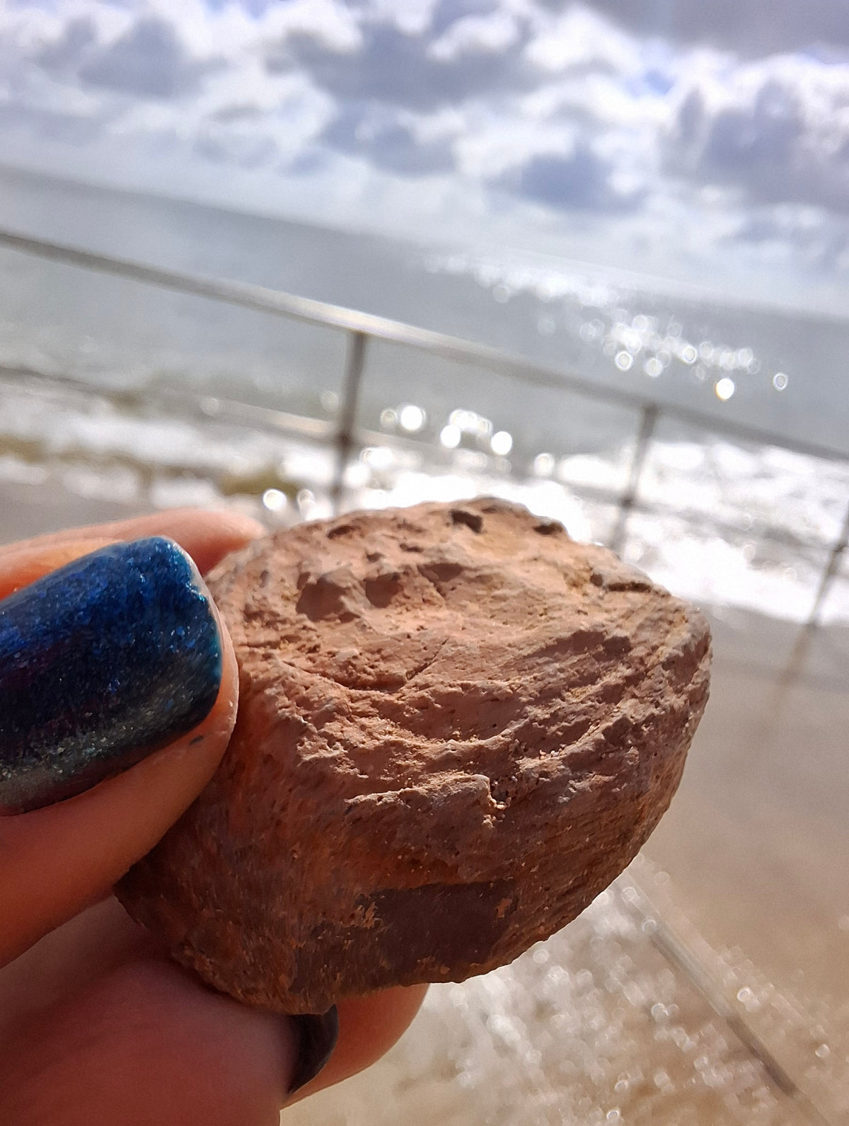 Chalcedony Oyster, Fossil (Ref: FO9)