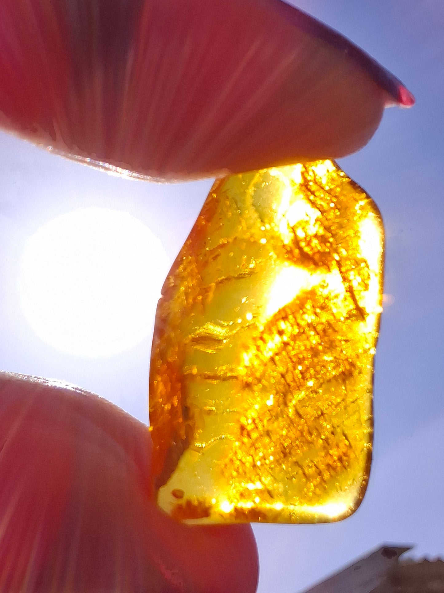 Baltic Amber, 1.11g, Fossil (Ref: A255)