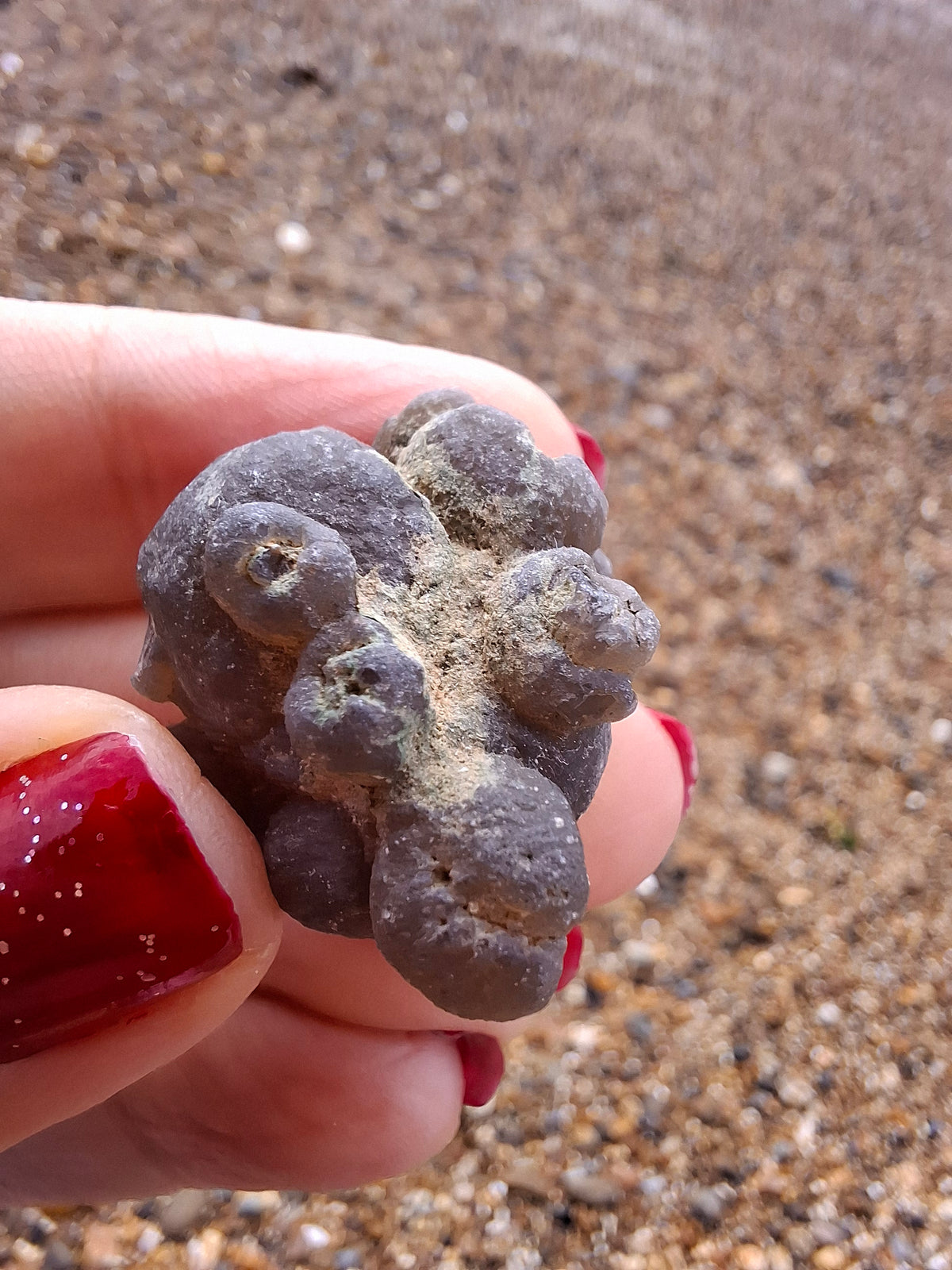 Nebula Chalcedony, 13.45g, Fossil (Ref: NC2)