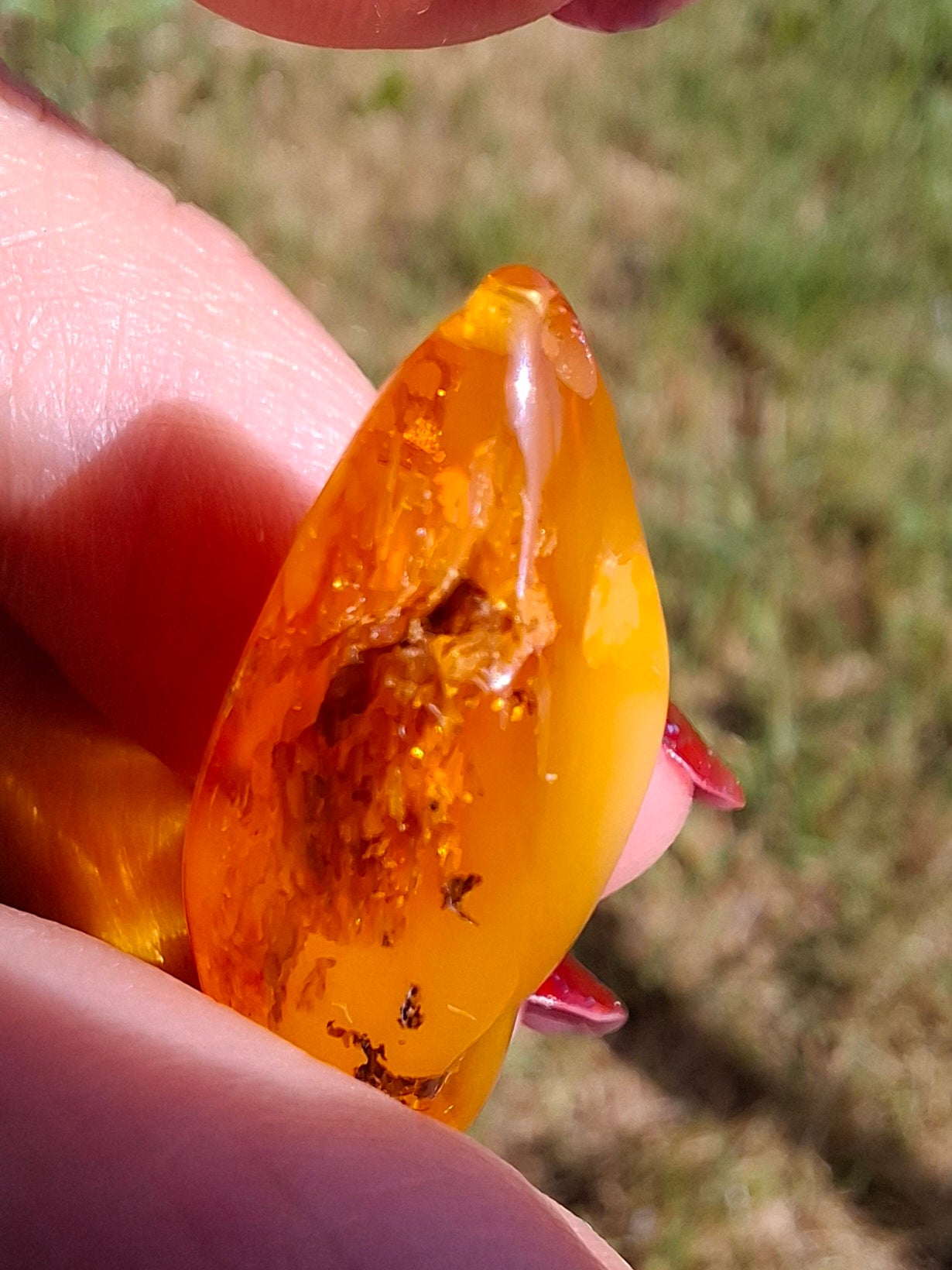 Baltic Amber, 1.68g, Fossil (Ref: A233)