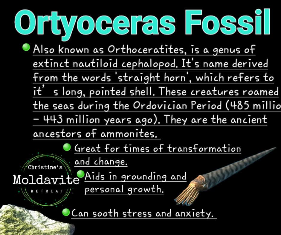Orthoceras Sphere, Fossil (Ref: OS2)