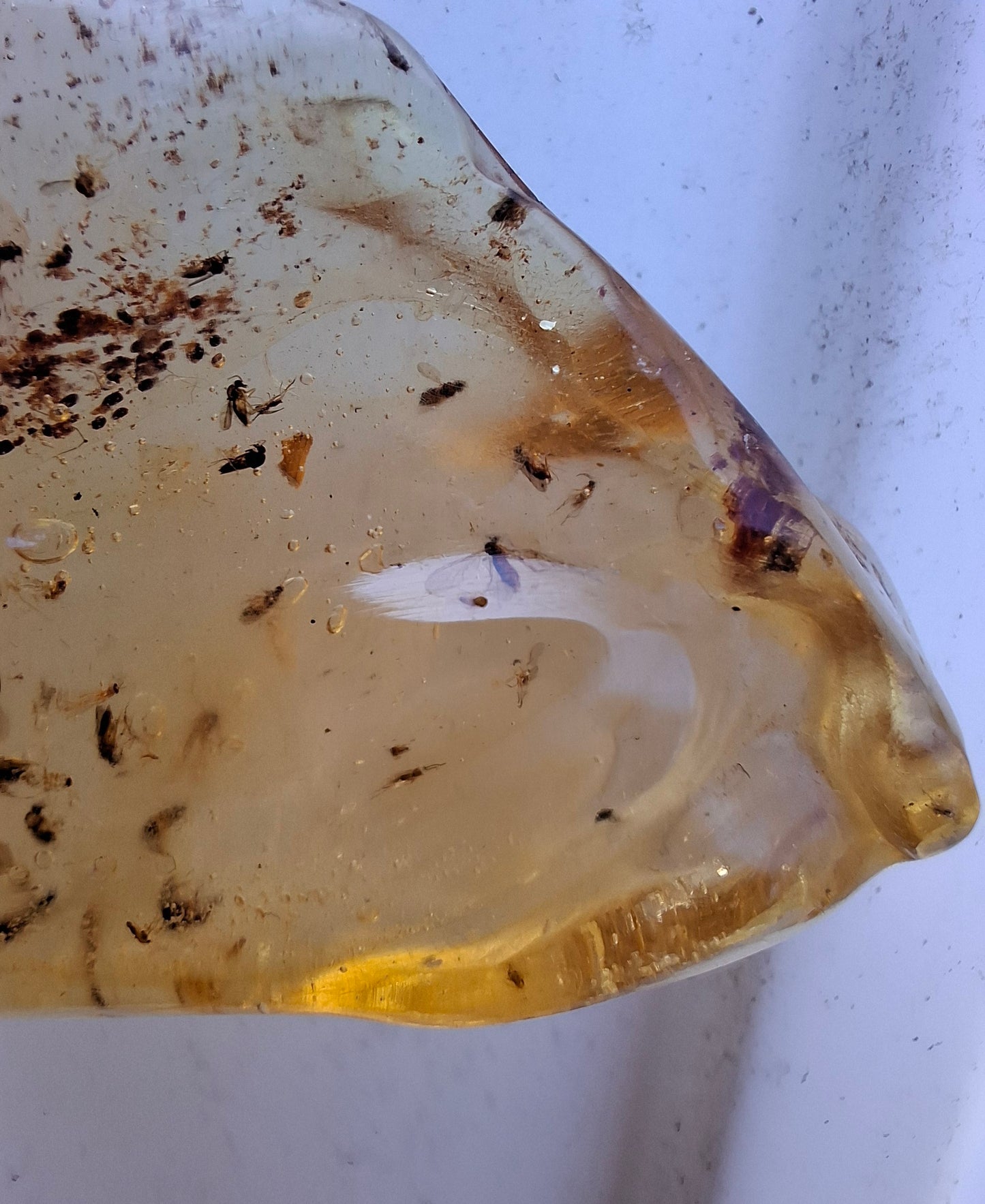 Copal Young Amber with INSECTS inside, 28.43g, Fossil (Ref: CA10)