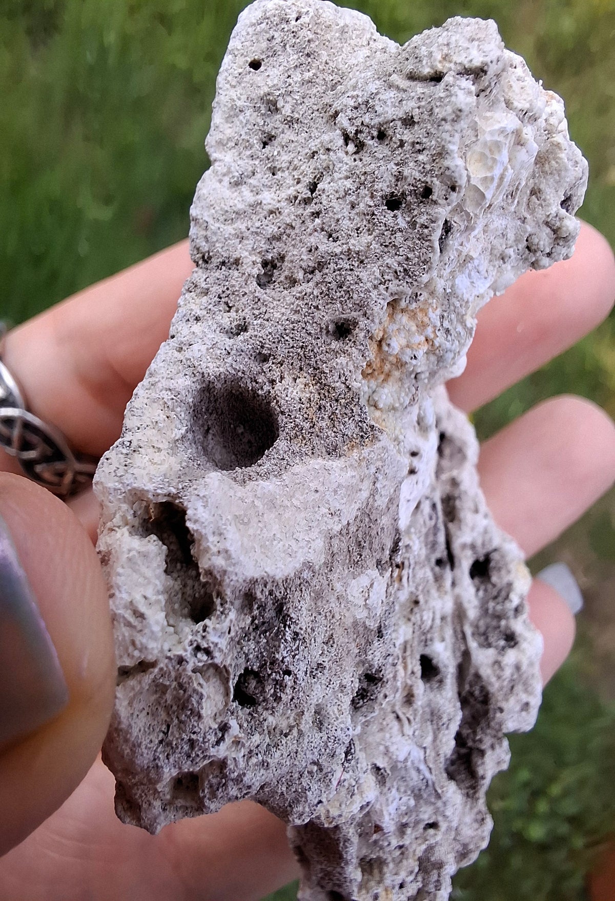 Fossilised Coral replaced by Chalcedony/Agate, Fossil (Ref: FCA1)