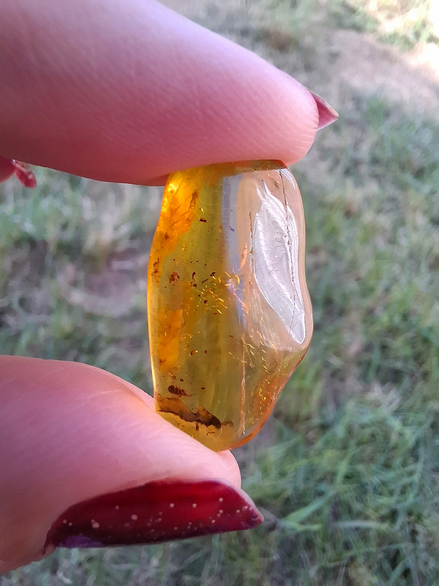 Baltic Amber, 1.23g, Fossil (Ref: A237)