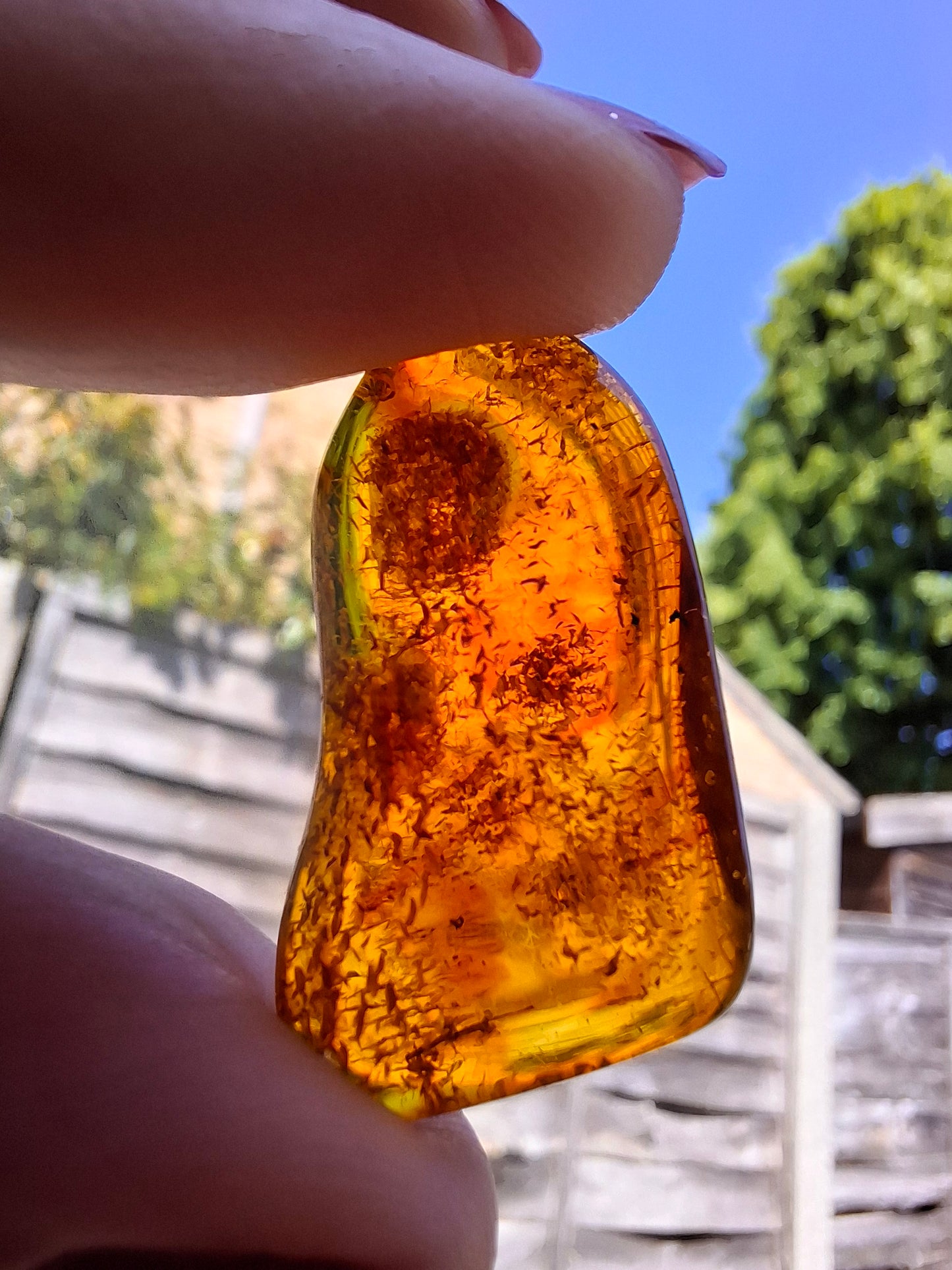 Baltic Amber, 1.94g, Fossil (Ref: A49)