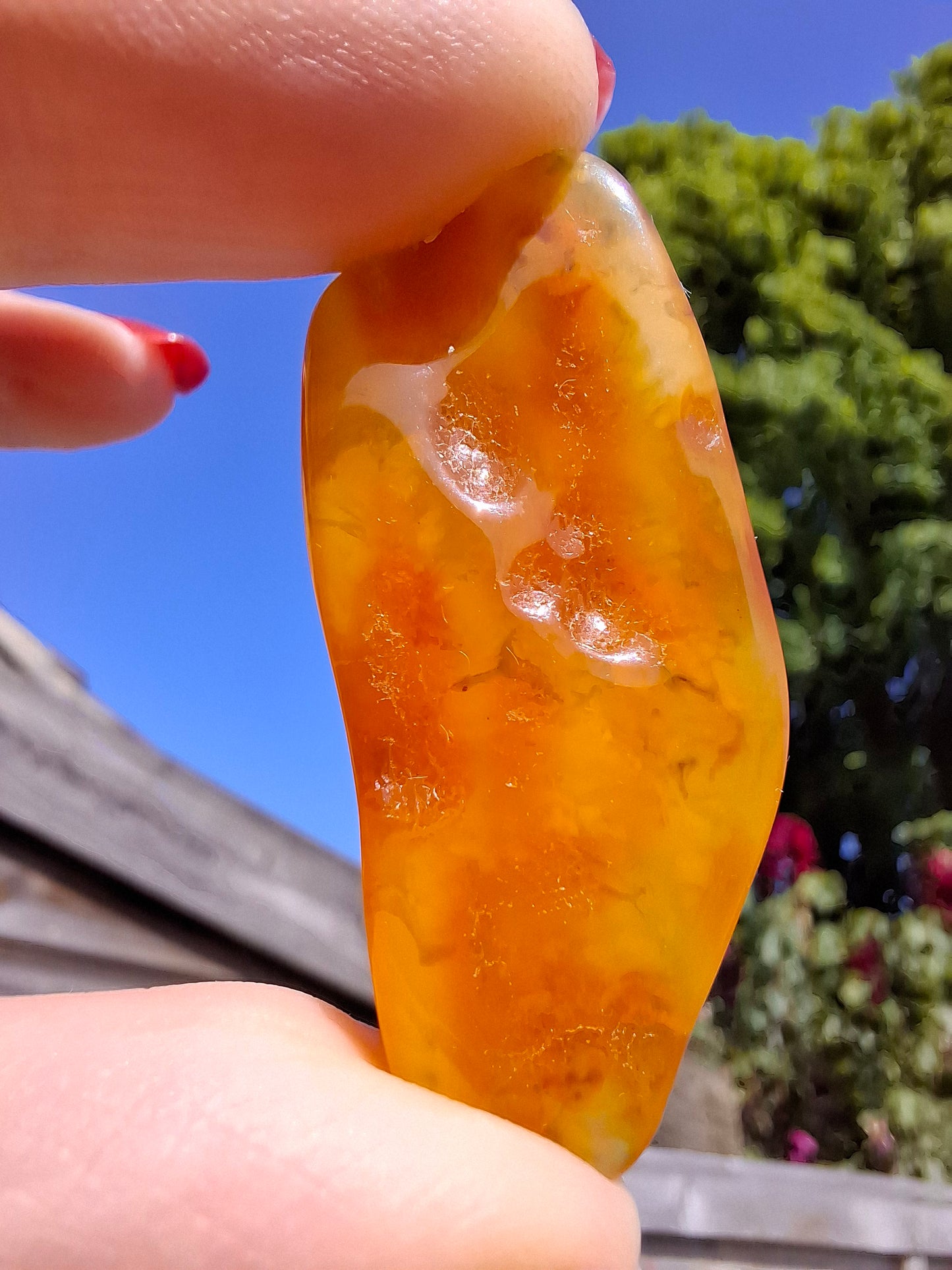 Baltic Amber, 2.87g, Fossil (Ref: A152)