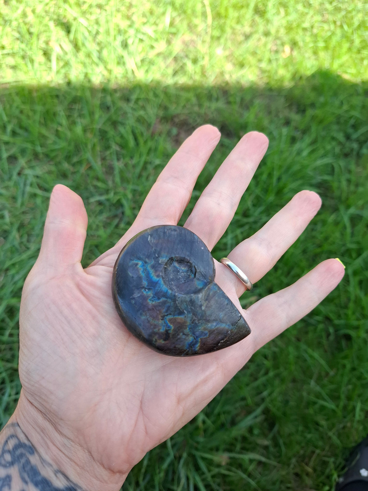 Labradorite Ammonite Carving, 89.31g, Crystal (Ref: laba6)