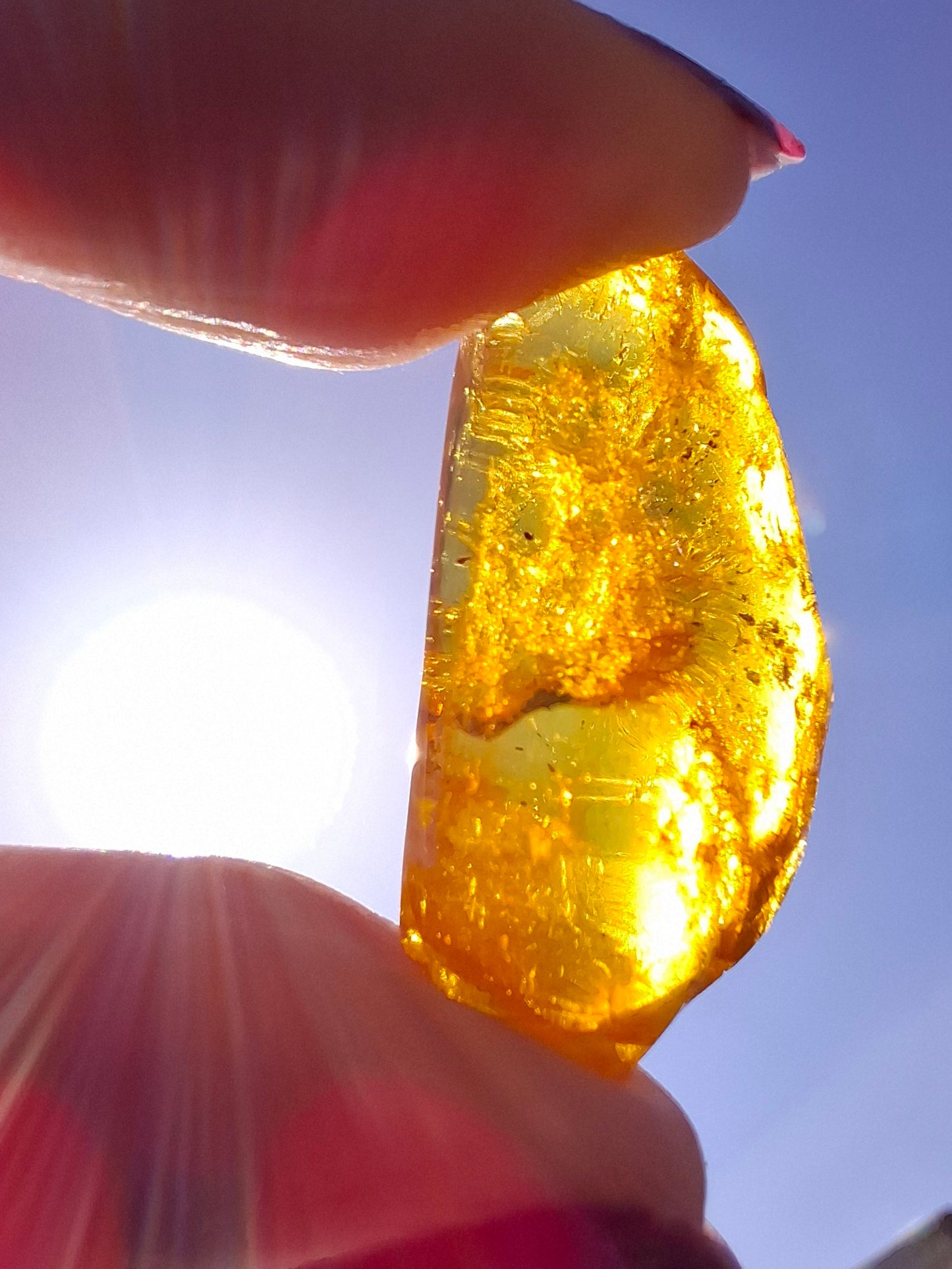 Baltic Amber, 1.39g, Fossil (Ref: A181)