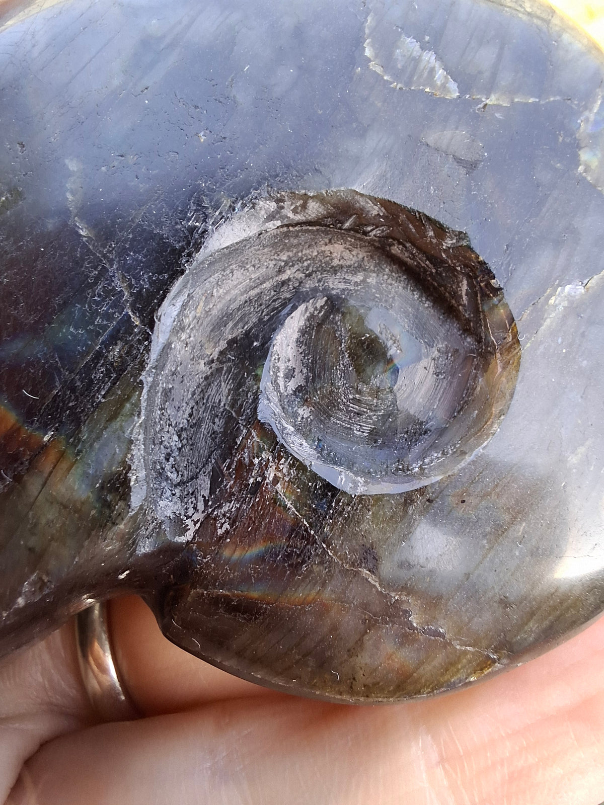 Labradorite Ammonite Carving, 153.97g, Crystal (Ref: laba2)