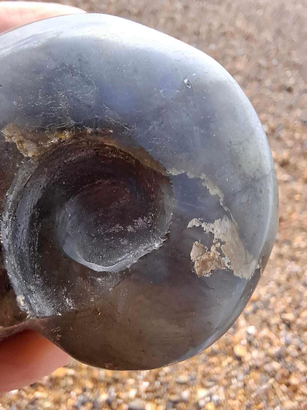 Labradorite Ammonite Carving, 146.90g, Crystal (Ref: laba5)