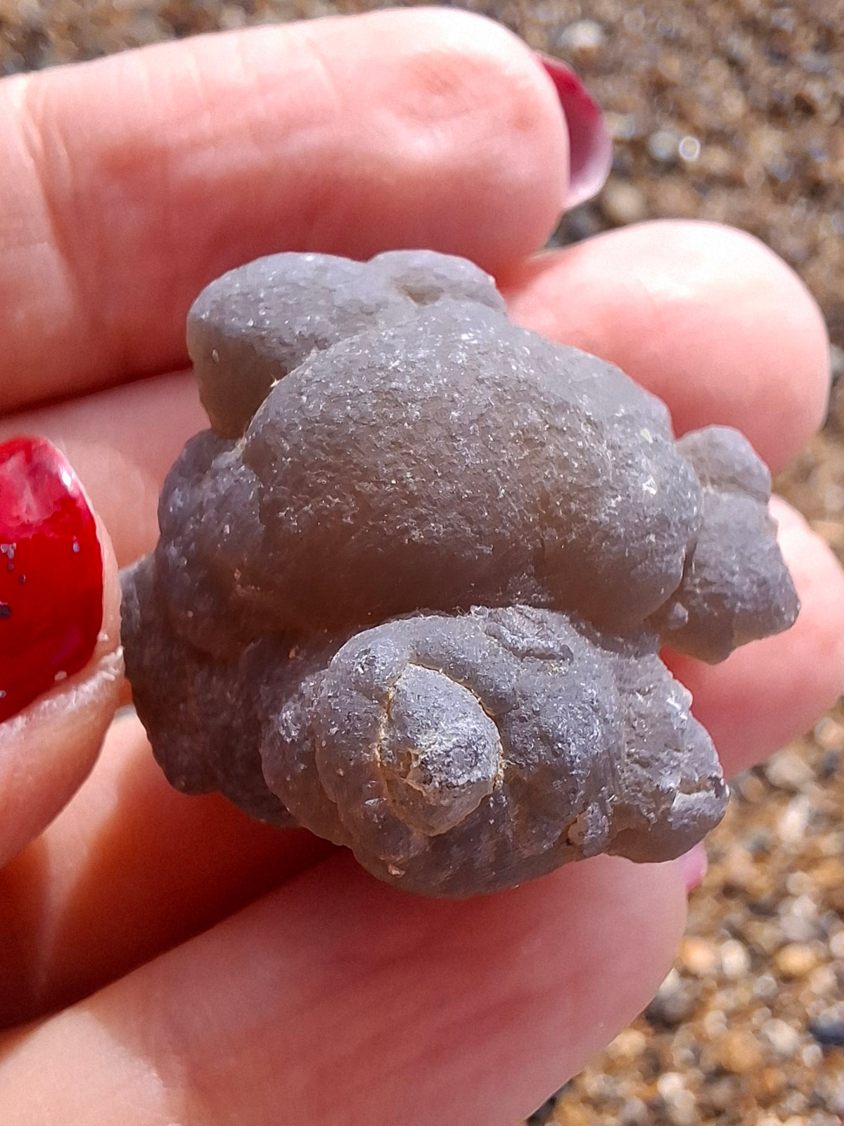 Nebula Chalcedony, 16.57g, Fossil (Ref: NC10)