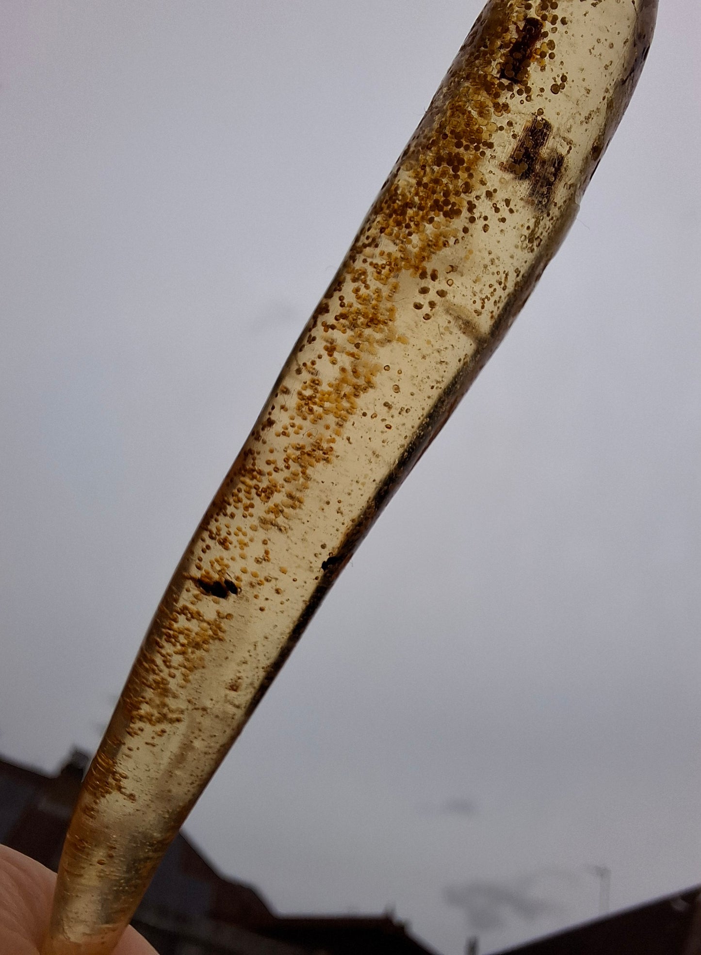 Copal Young Amber with INSECTS inside, 5.46g, Fossil (Ref: CA36)