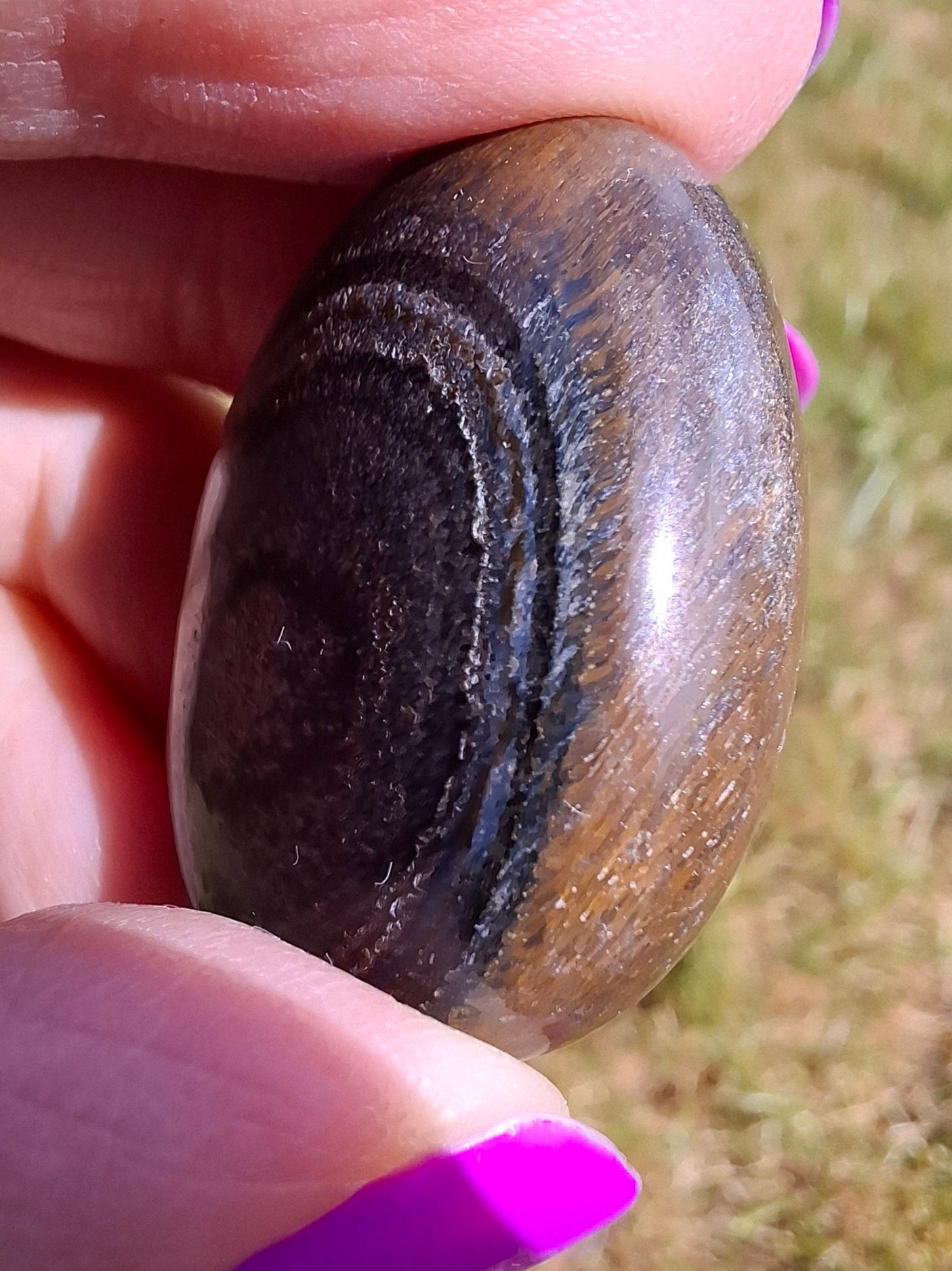 Blue Tigers Eye, Tumble Stone, Crystal (Ref: T19)