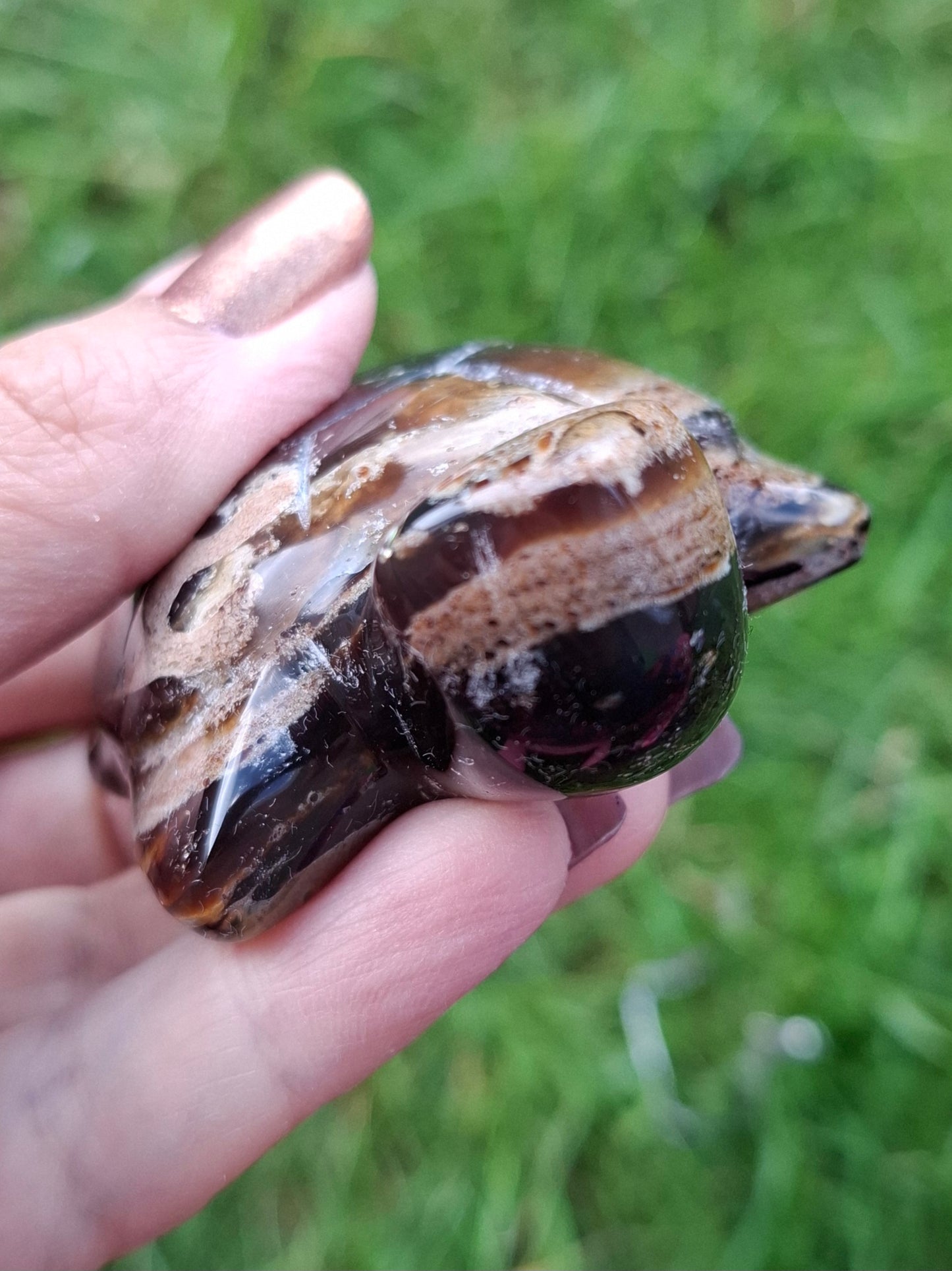 Red Amber Turtle, 56.87g, Carving, Fossil (Ref:TT7)