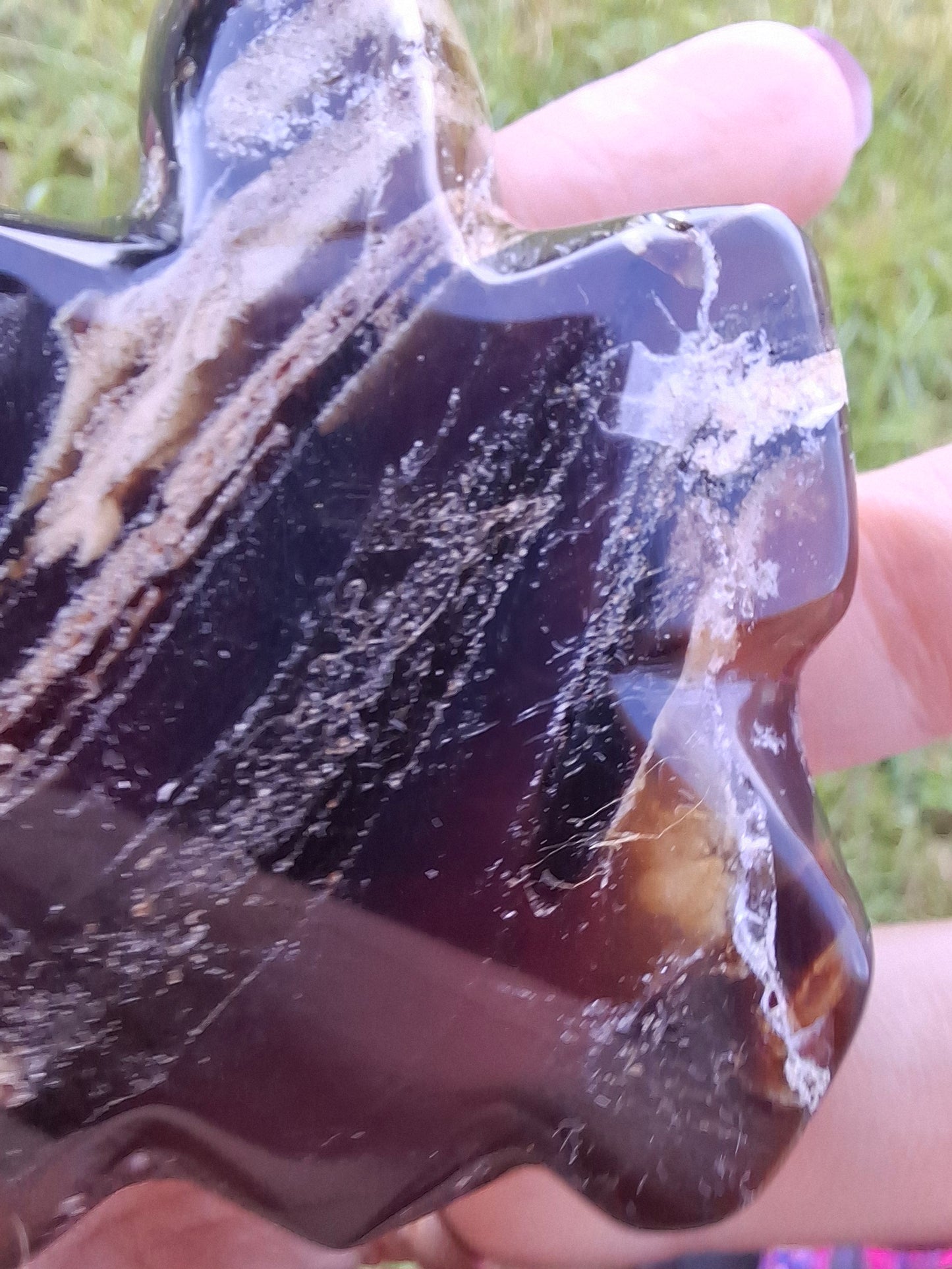 Red Amber Turtle, 50.00g, Carving, Fossil (Ref: TT6)