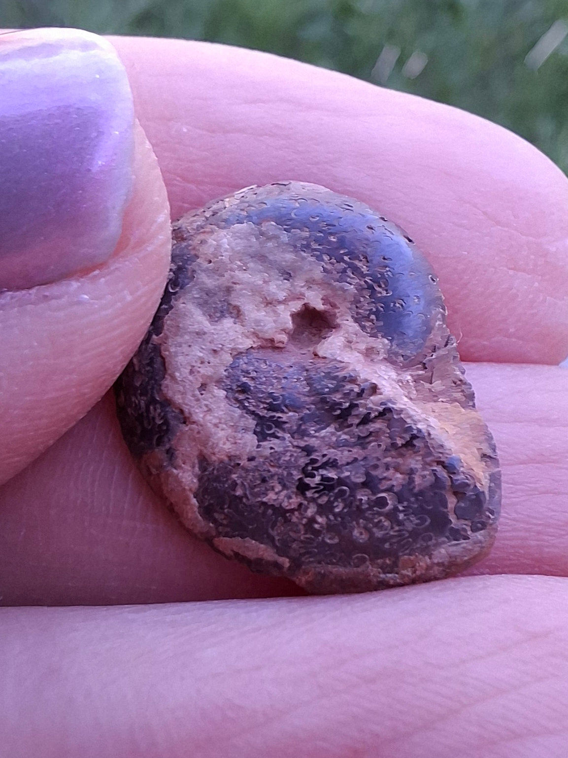 Small Haematite Ammonite HALF, 1.36g, Fossil (Ref: MA12)
