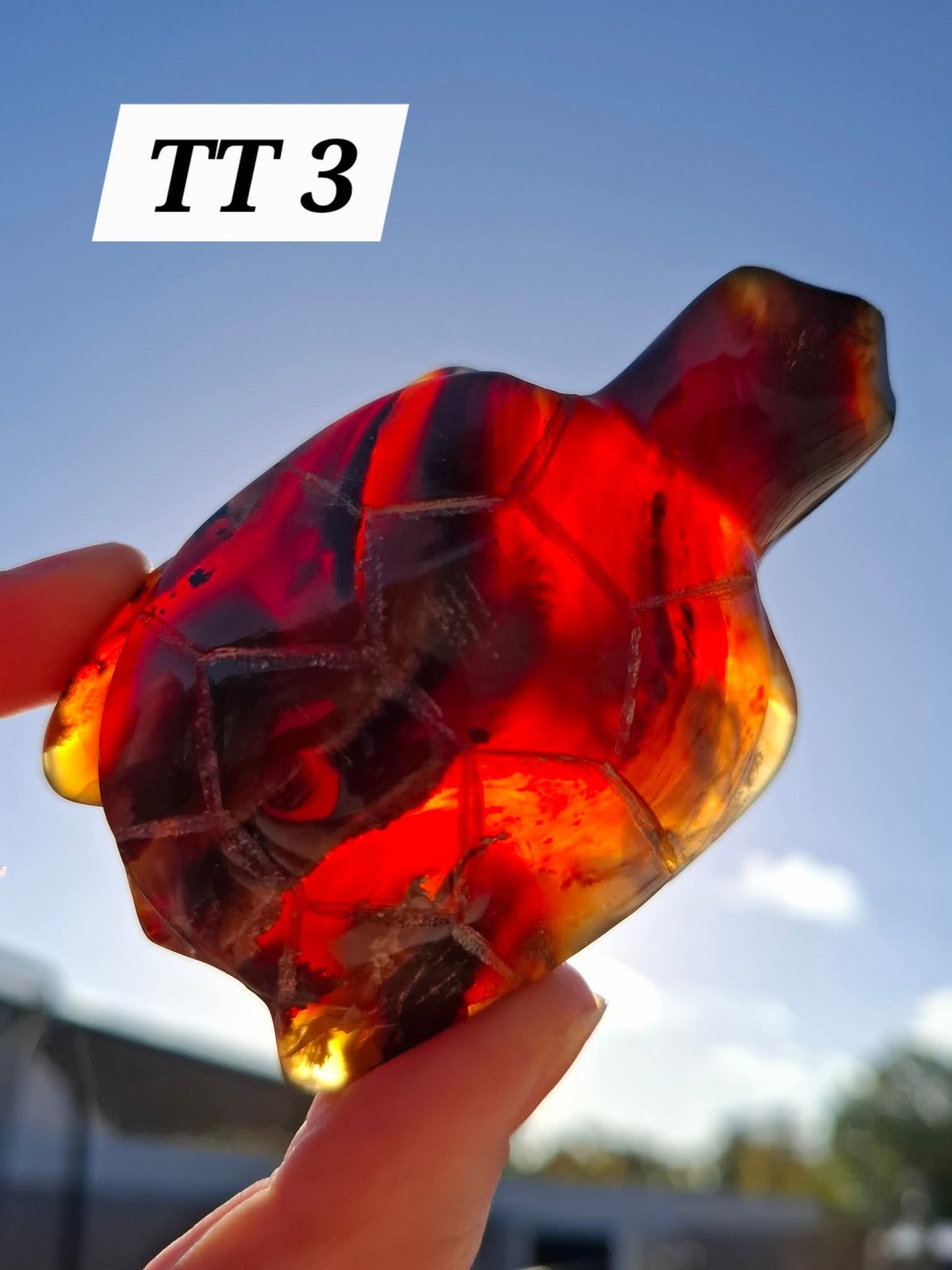 Red Amber Turtle, 52.00g, Carving, Fossil (Ref: TT3)