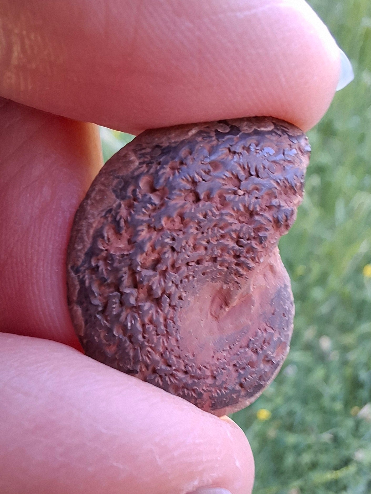 Small Haematite Ammonite HALF, 2.55g, Fossil (Ref: MA8)