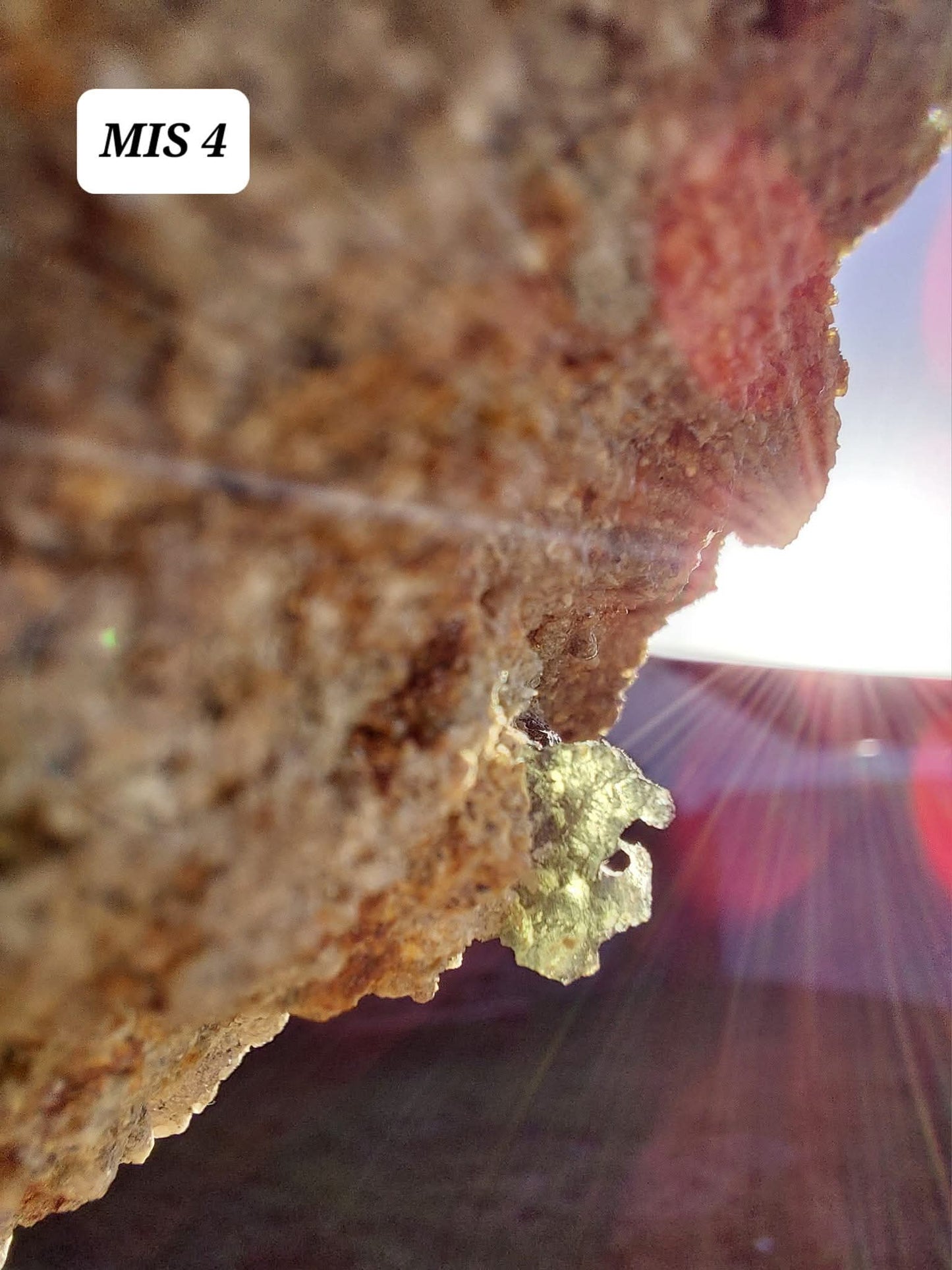 Moldavite In-Situ (in matrix), Besednice, Est- 2g, Tektite (Ref: MIS4)