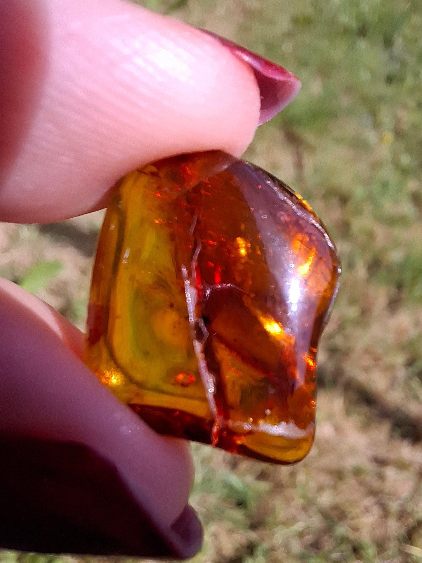 Baltic Amber, 0.94g, Fossil (Ref: A256)