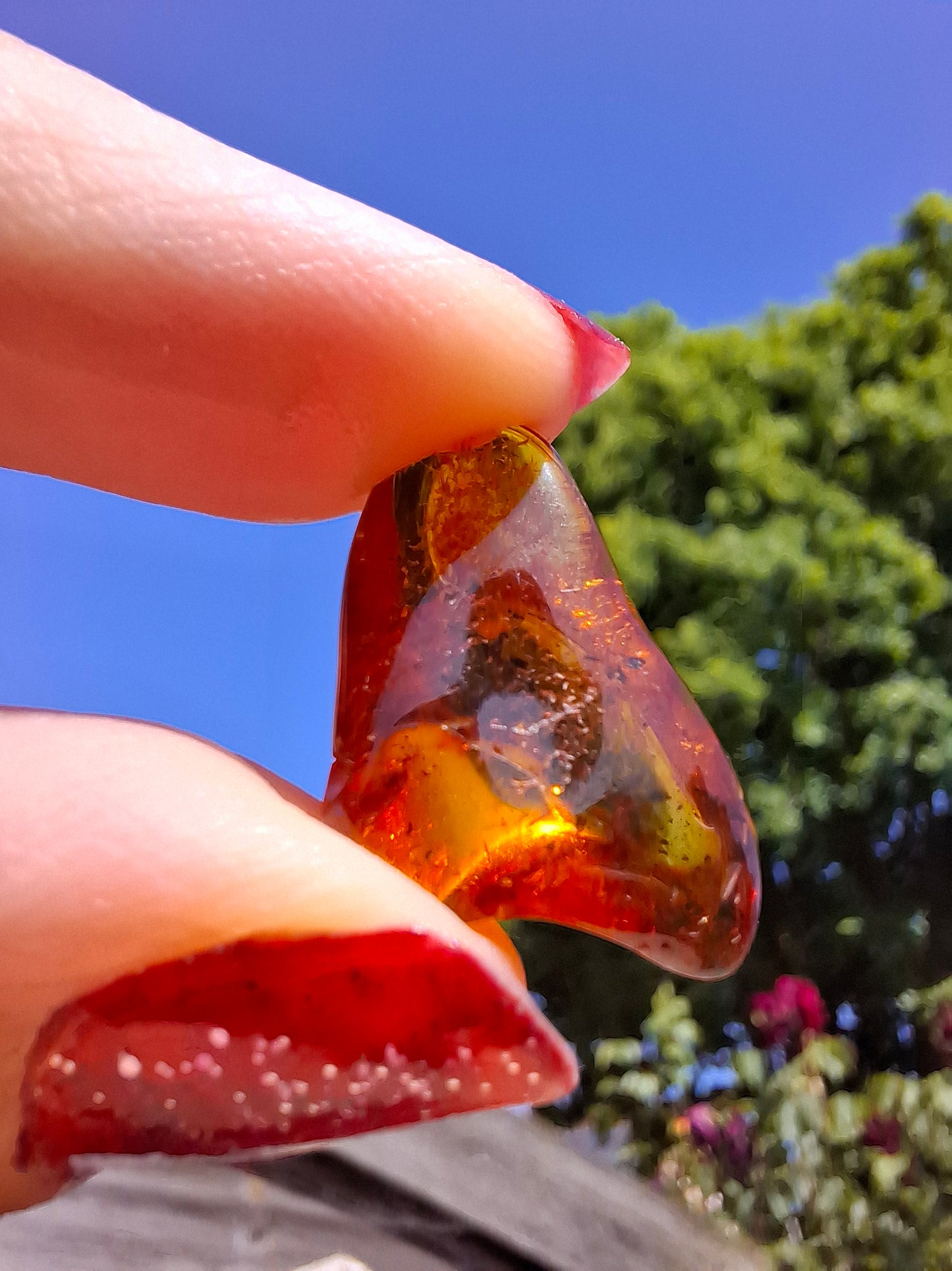 Baltic Amber, 1.47g, Fossil (Ref: A238)