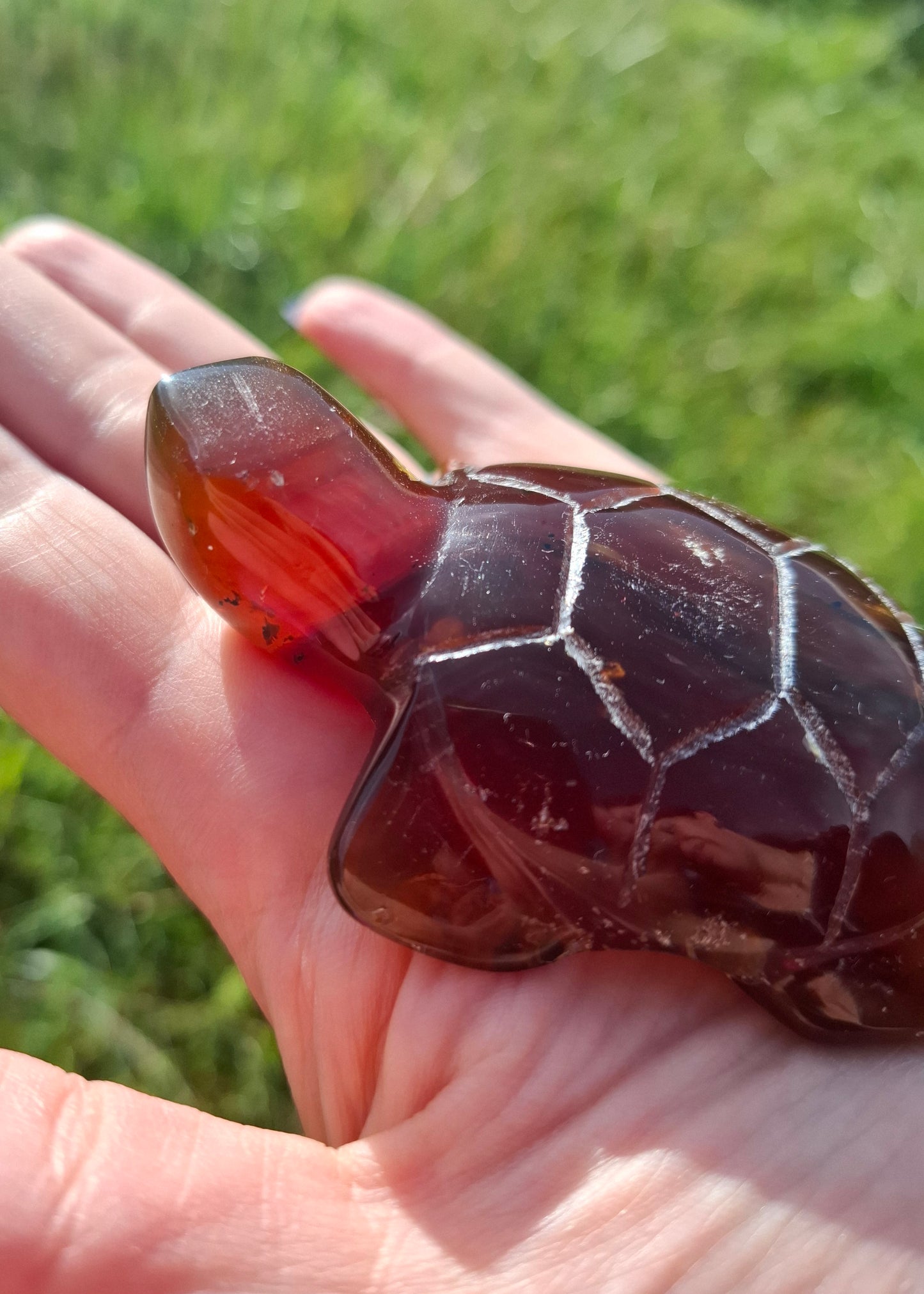 Red Amber Turtle, 49.15g, Carving, Fossil (Ref: TT1)