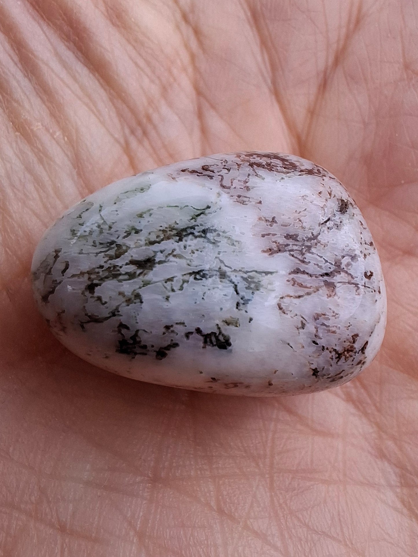 Tree Agate, Tumble Stone, Crystal (Ref: T6)