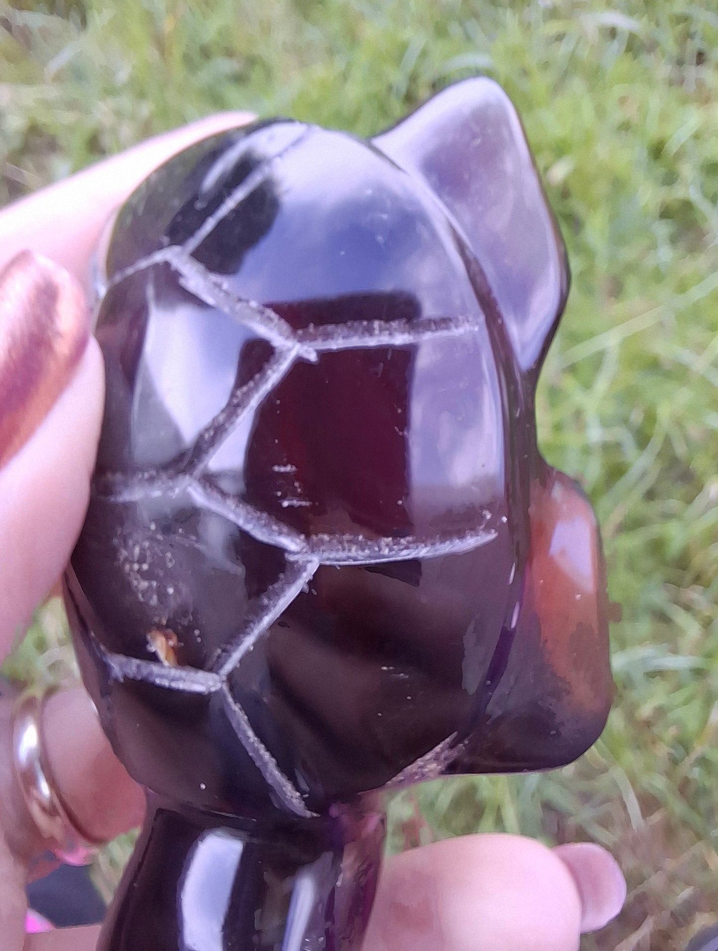 Red Amber Turtle, 47.85g, Carving, Fossil (Ref: TT4)