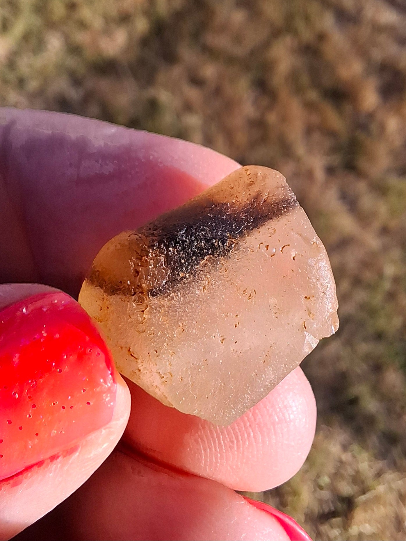 Libyan Desert Glass (darker) Piece, 4.70g, Tektite (Ref: L1372)