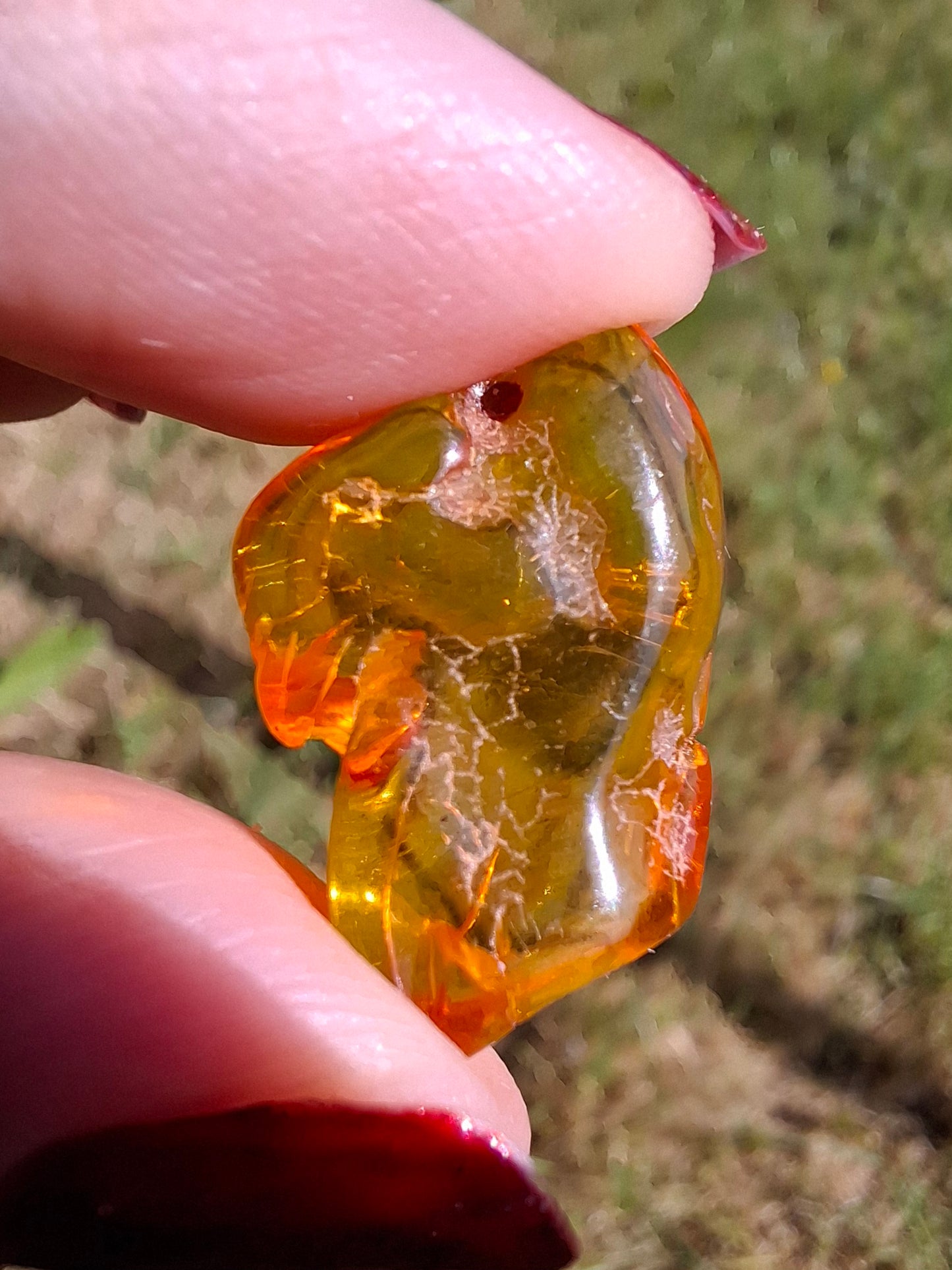 Baltic Amber, 1.31g, Fossil (Ref: A234)