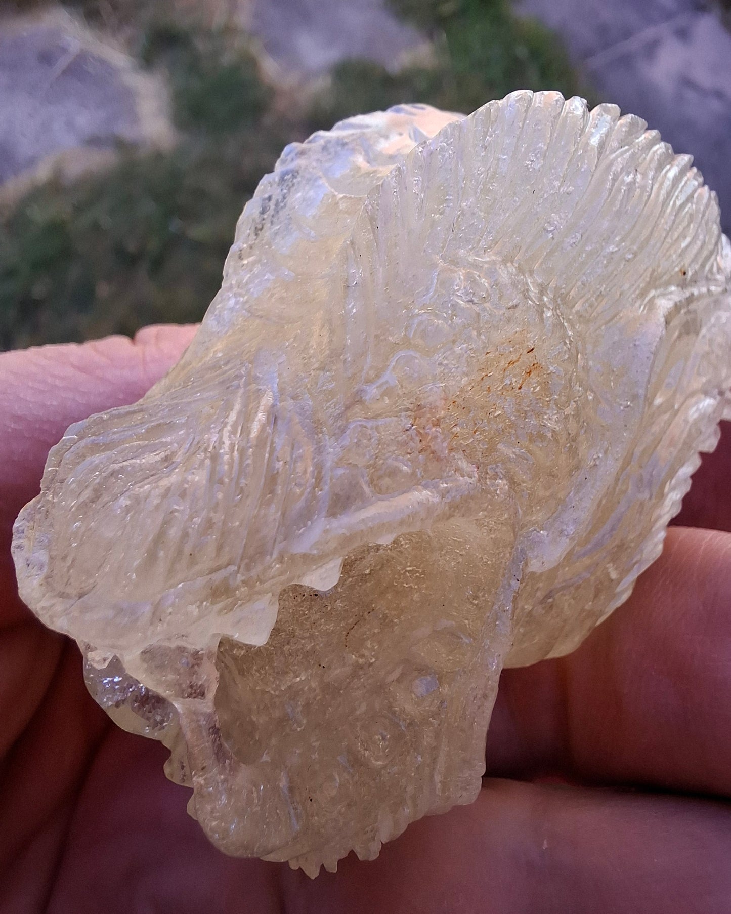 Libyan Desert Glass DRAGON HEAD Carving, 75.84g, Tektite (Ref: Dragon1)