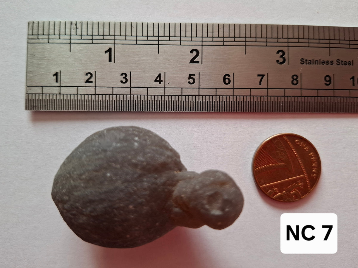 Nebula Chalcedony, 37.96g, Fossil (Ref: NC7)