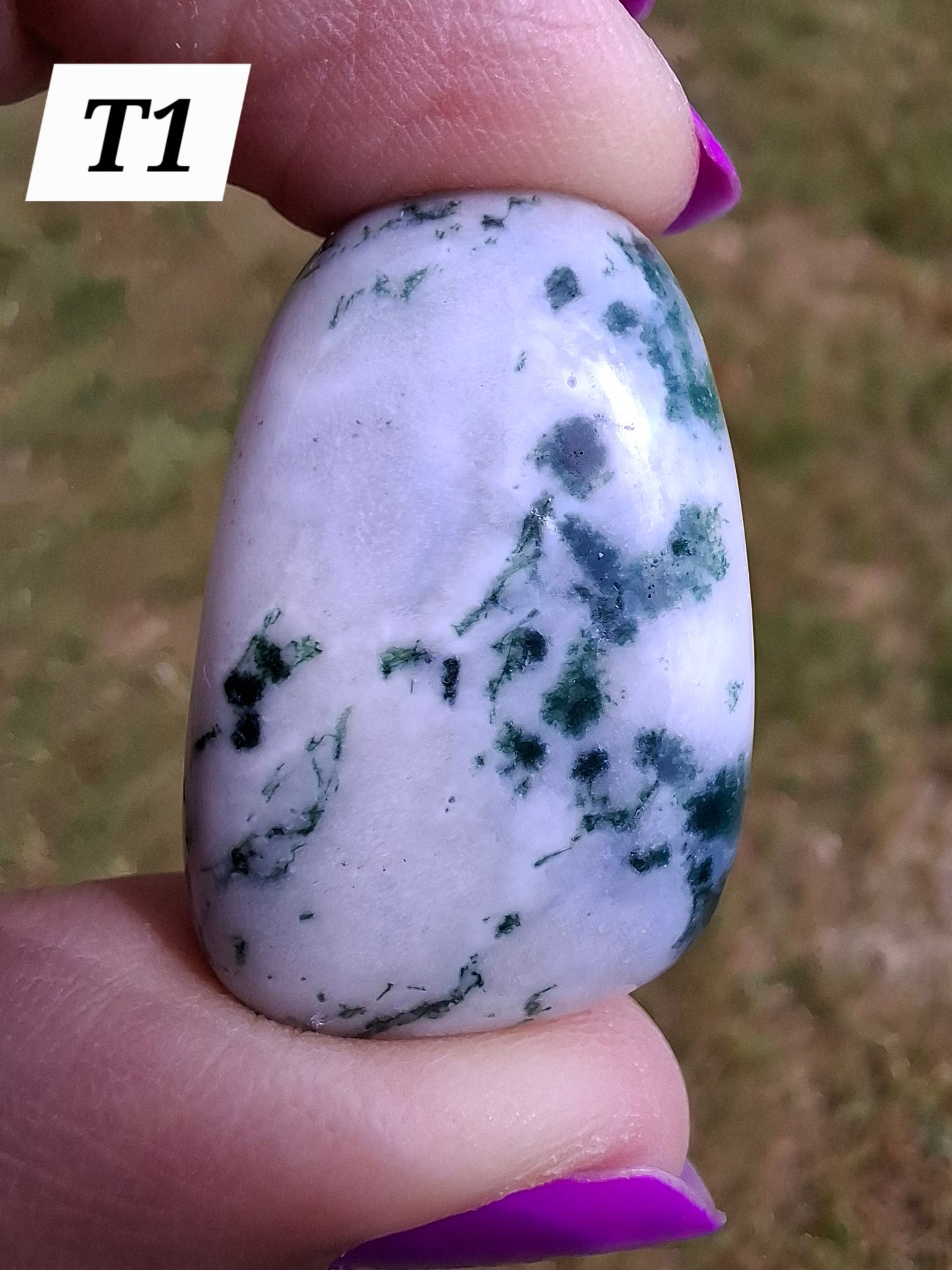 Tree Agate, Tumble Stone, Crystal (Ref: T1)