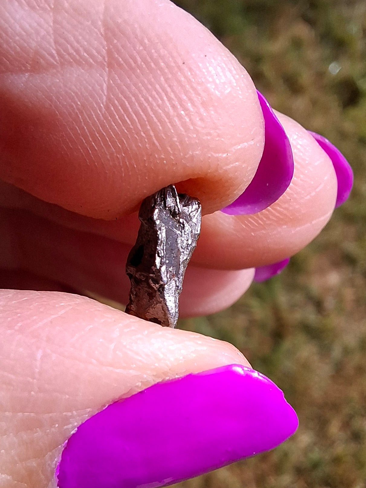 Campo del Cielo, 1.11g, Nickel Iron Meteorite (Ref: C14)