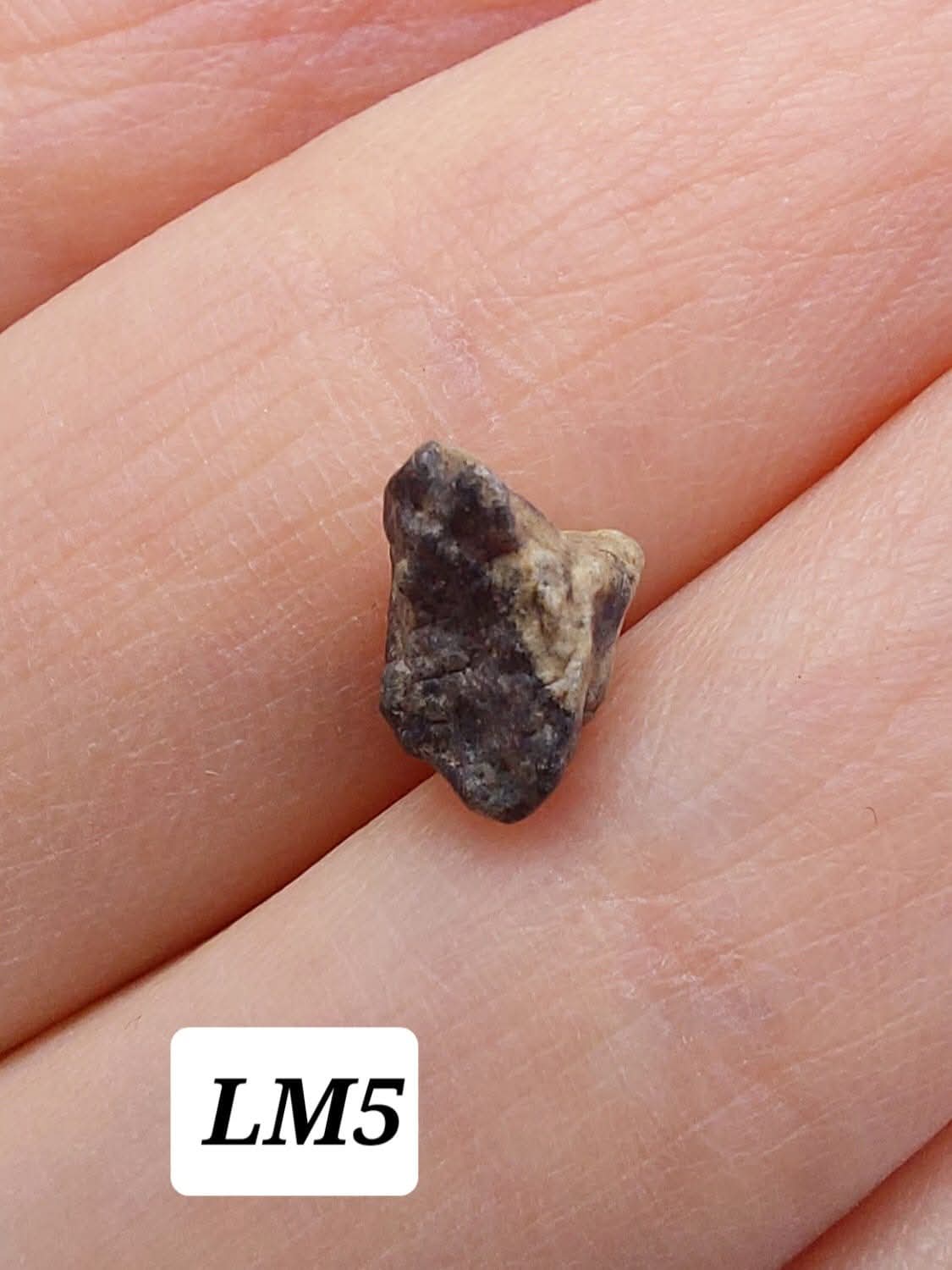 Lunar Meteorite, 0.32g, 'Moon Rock' (Ref: LM5)
