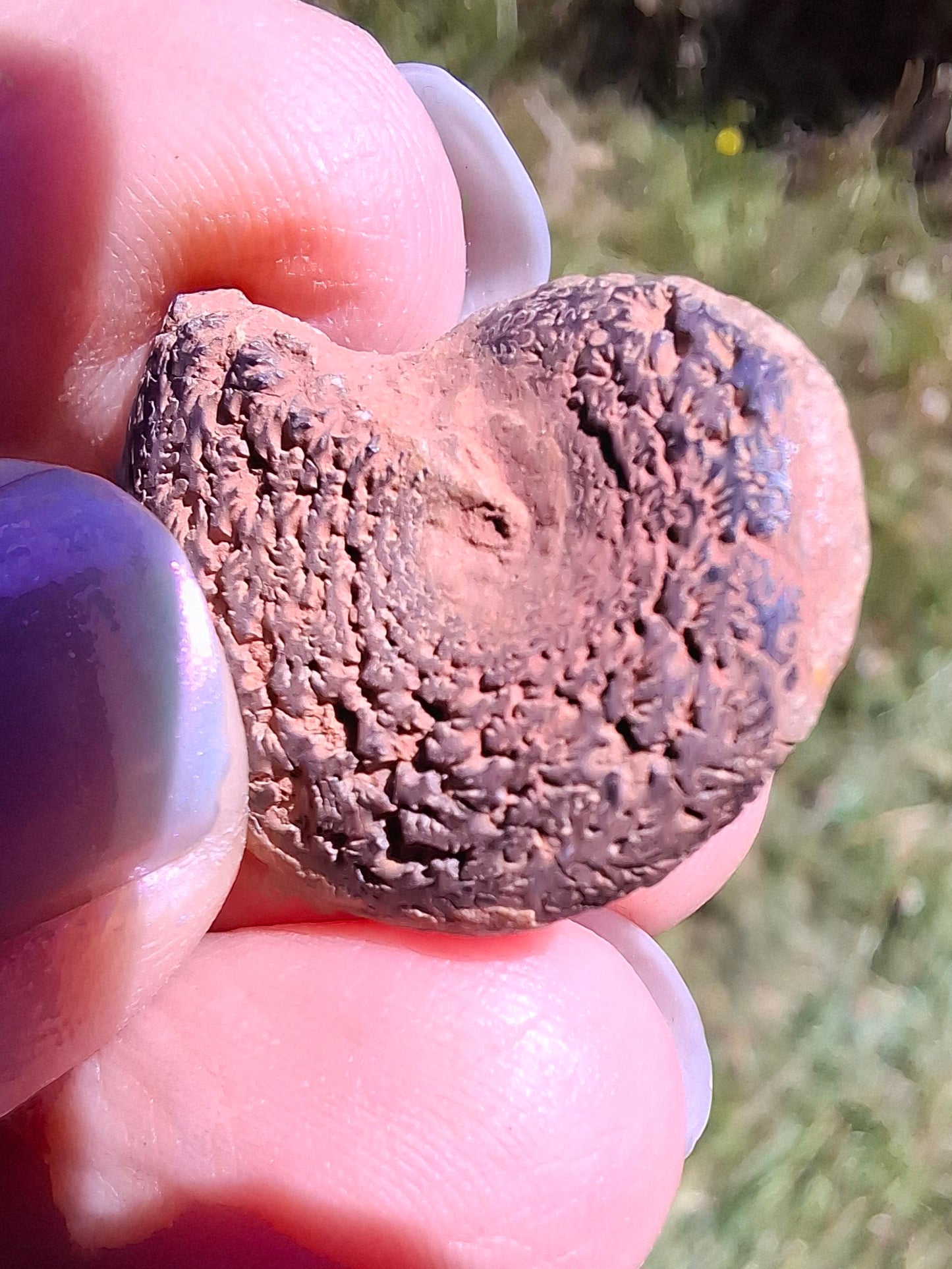 Small Haematite Ammonite HALF, 2.55g, Fossil (Ref: MA8)