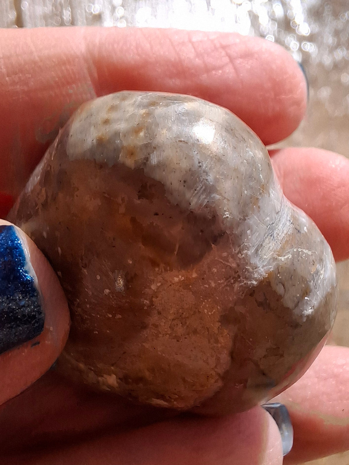 Polished Sea Urchin, Fossil (Ref: SU2)
