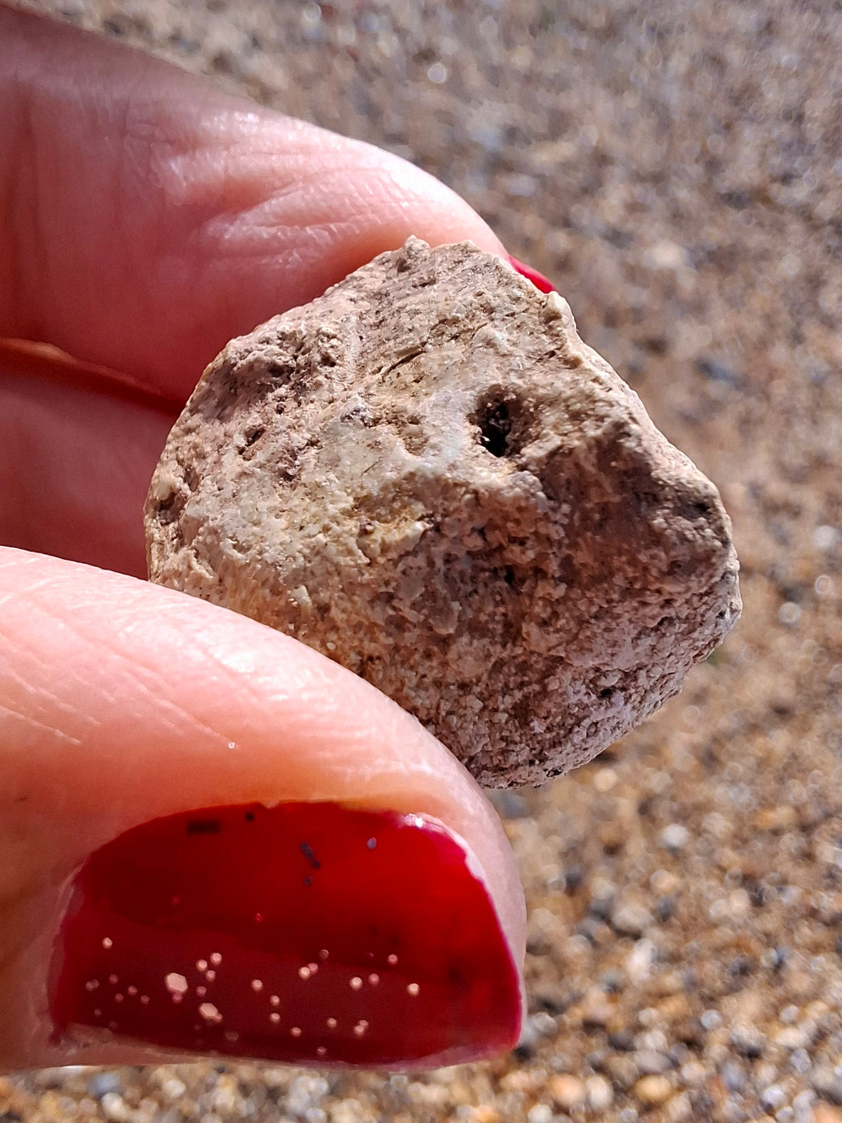 Sauropod Dinosaur Coprolite, 7.32g, Fossil (Ref: DP4)