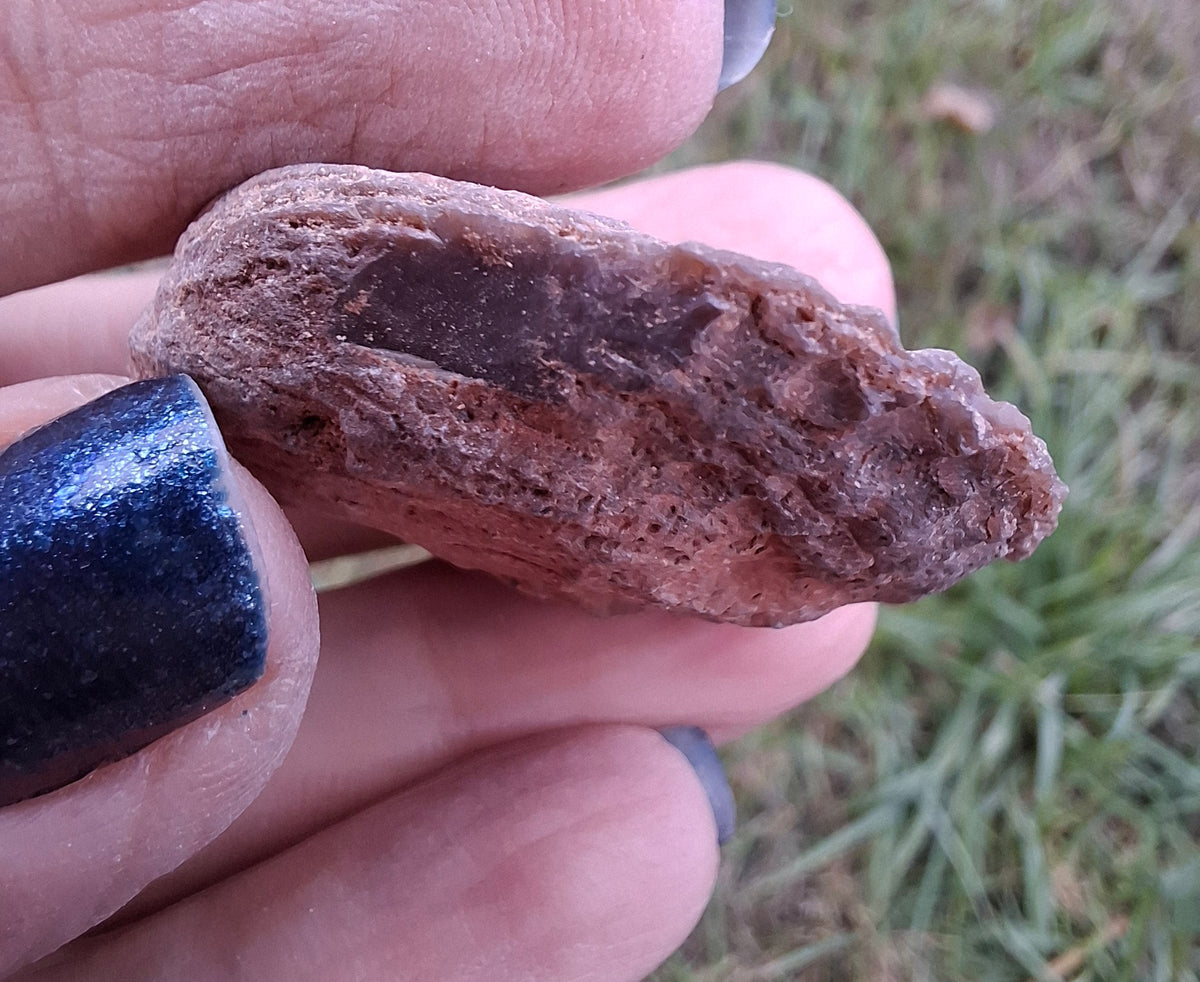 Chalcedony Oyster, Fossil (Ref: FO9)