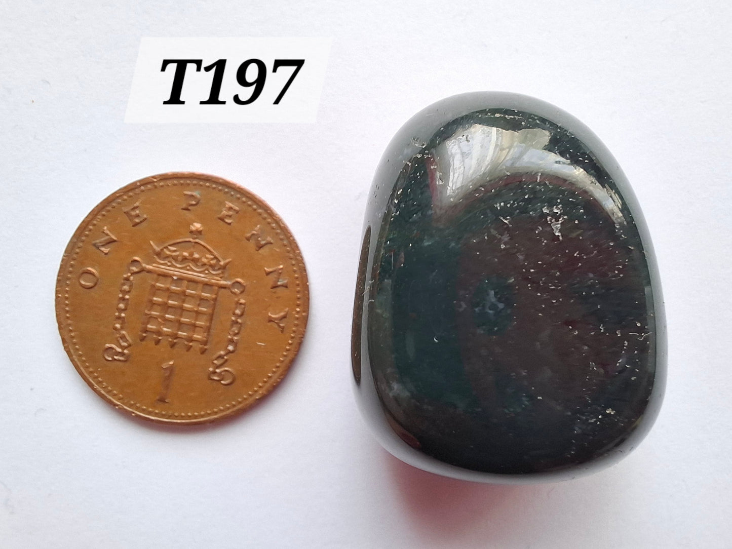 Ocean Jasper, Tumble Stone, Crystal (Ref: T197)